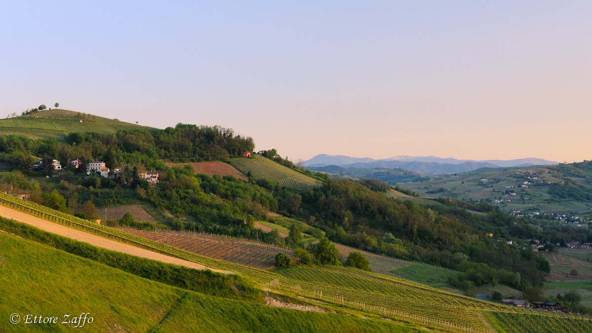 Oltrepò Pavese...