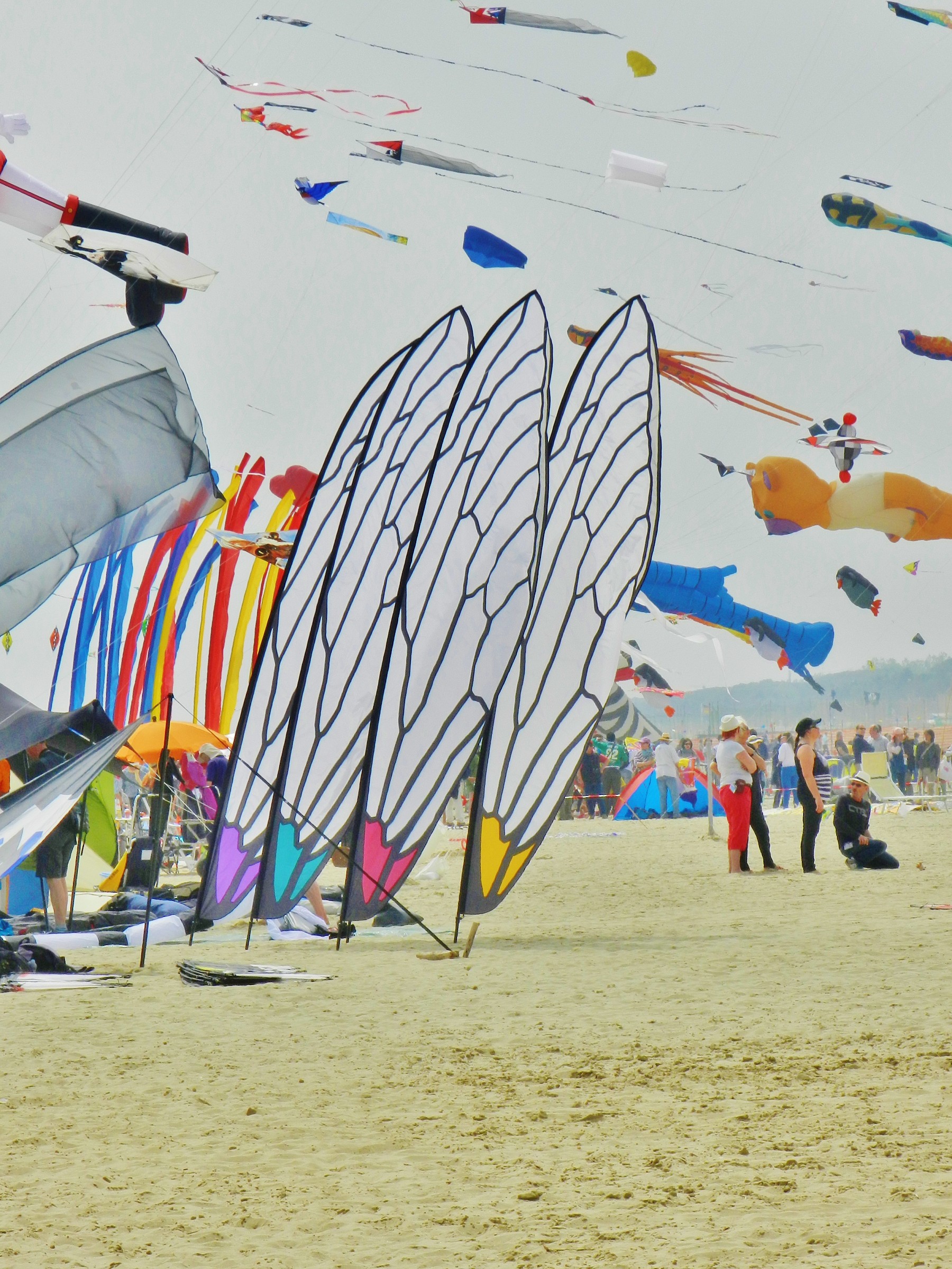 kites festival cervia .......