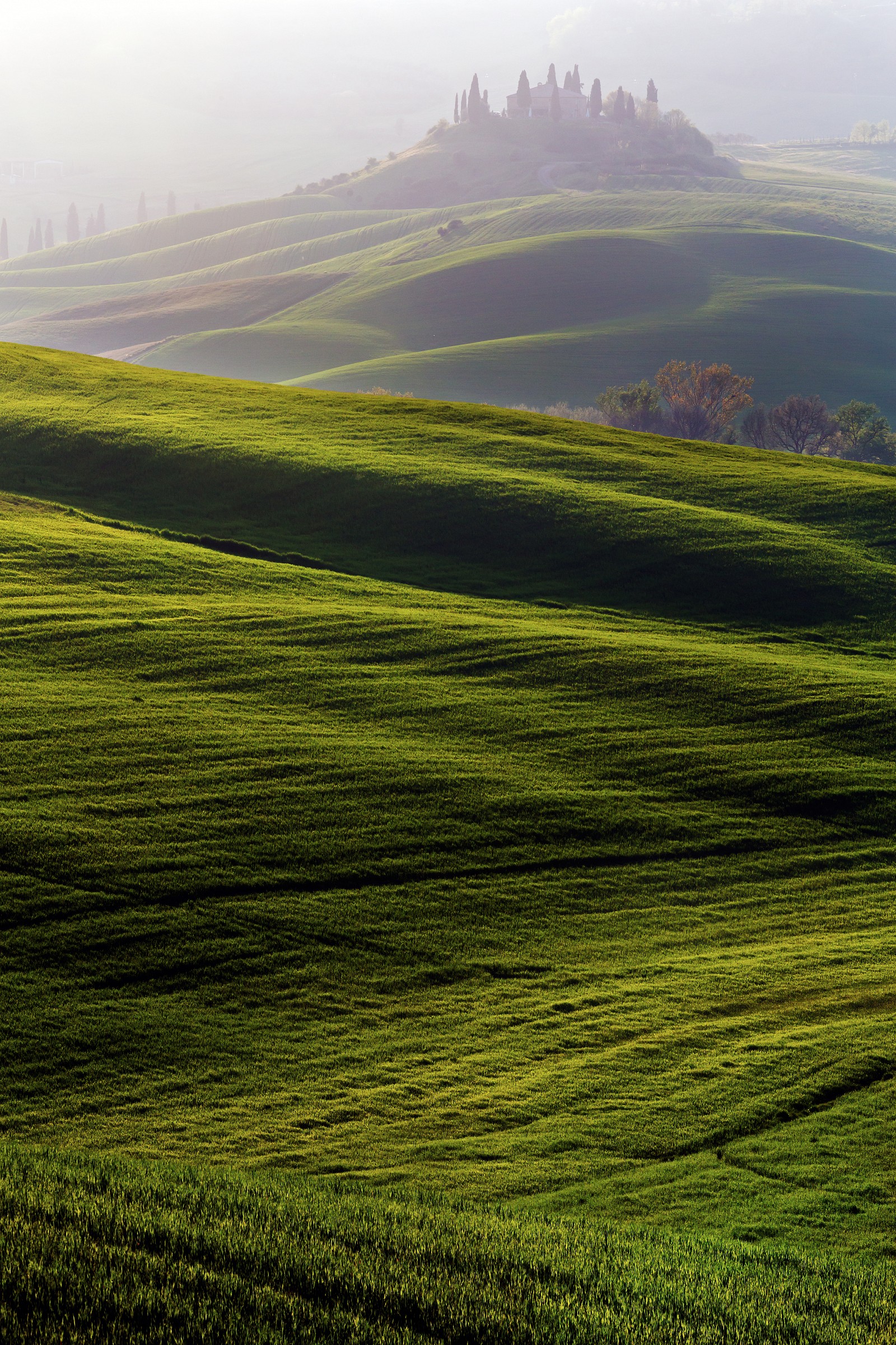 Val d'Orcia doc...