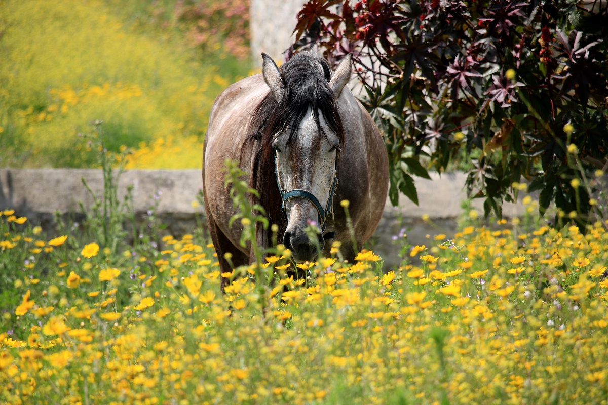 Spring...