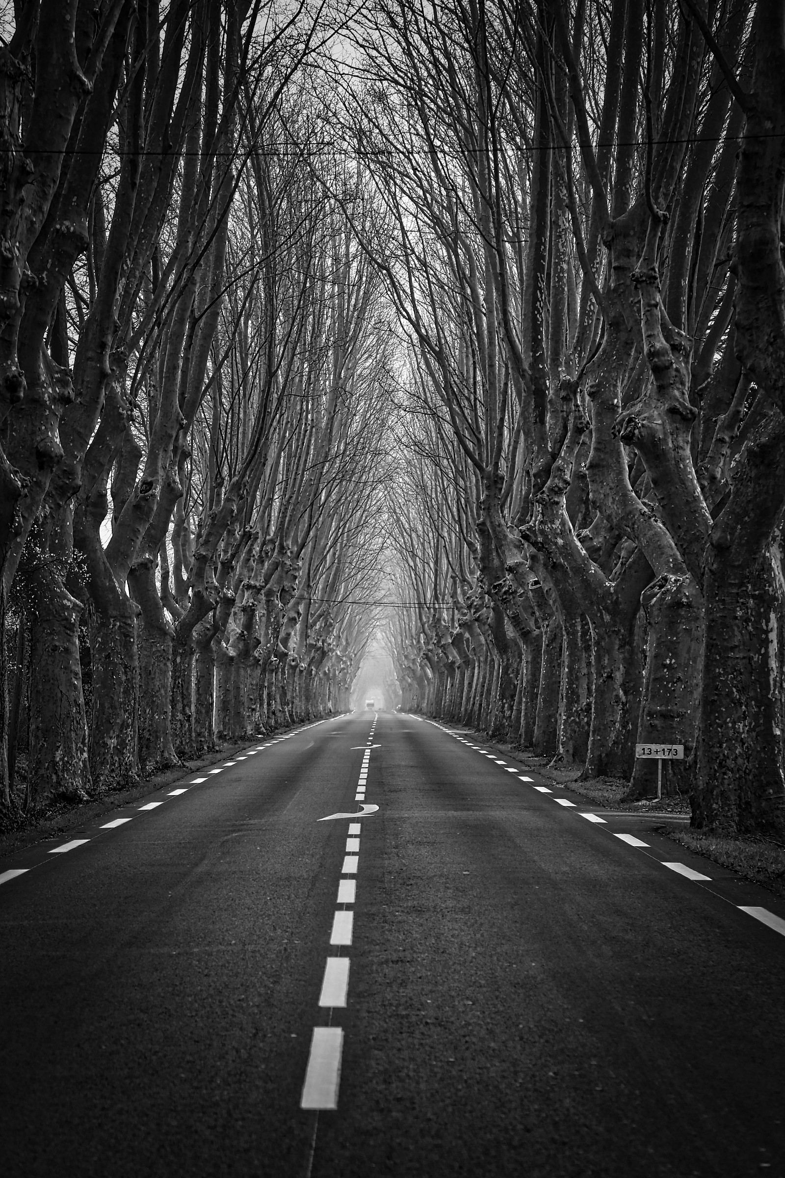 le mani della natura...