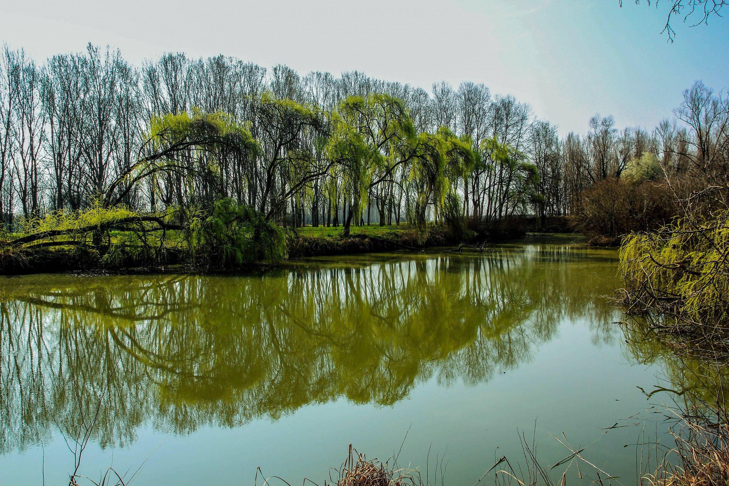 Pond Montagnana...