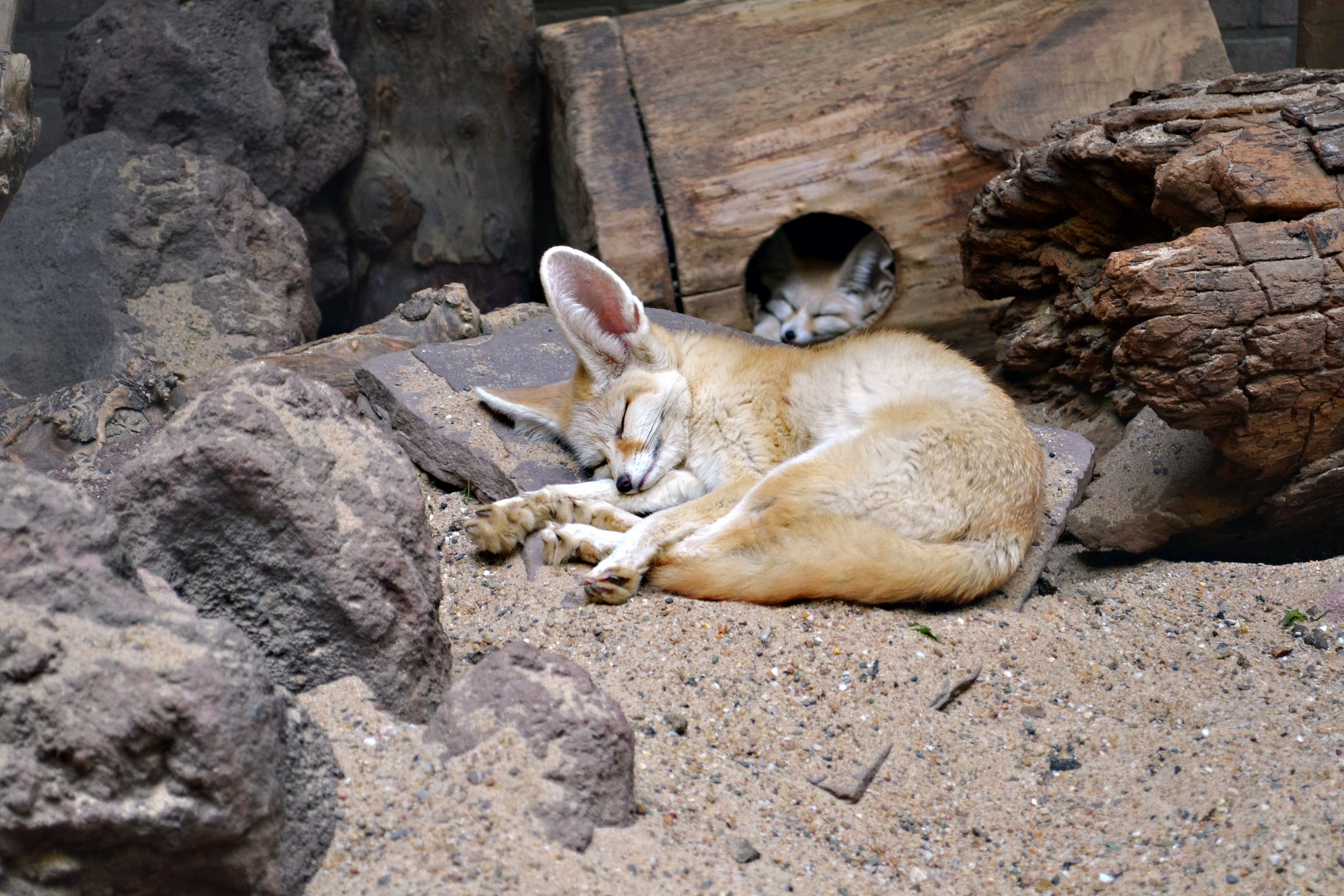 We have some sleepy guys there!...