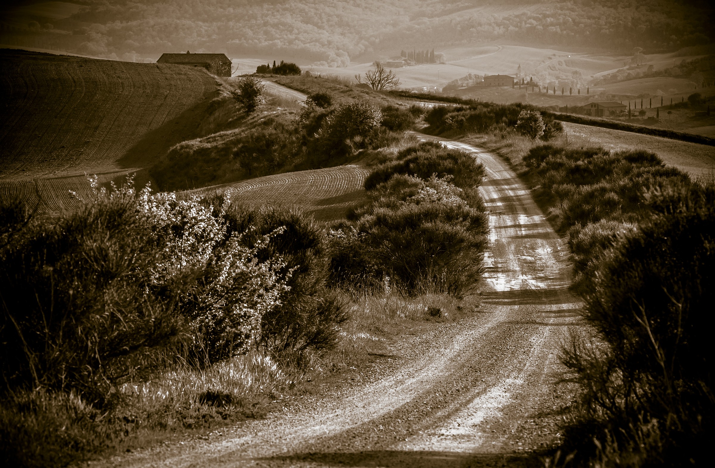 Monochromatic Wiew from Orcia's Valley...