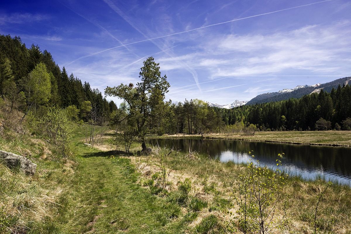 Nature reserve of Pian Gembro...