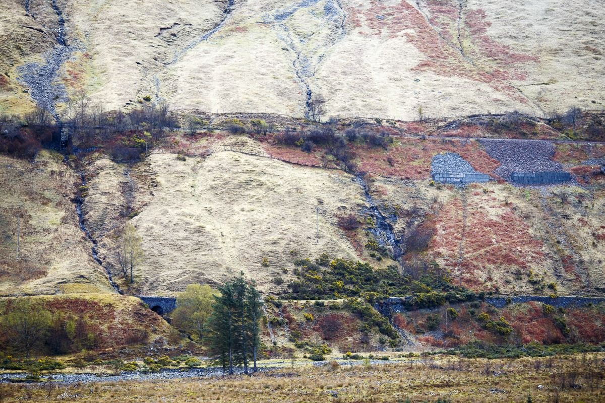 Wild Scotland...