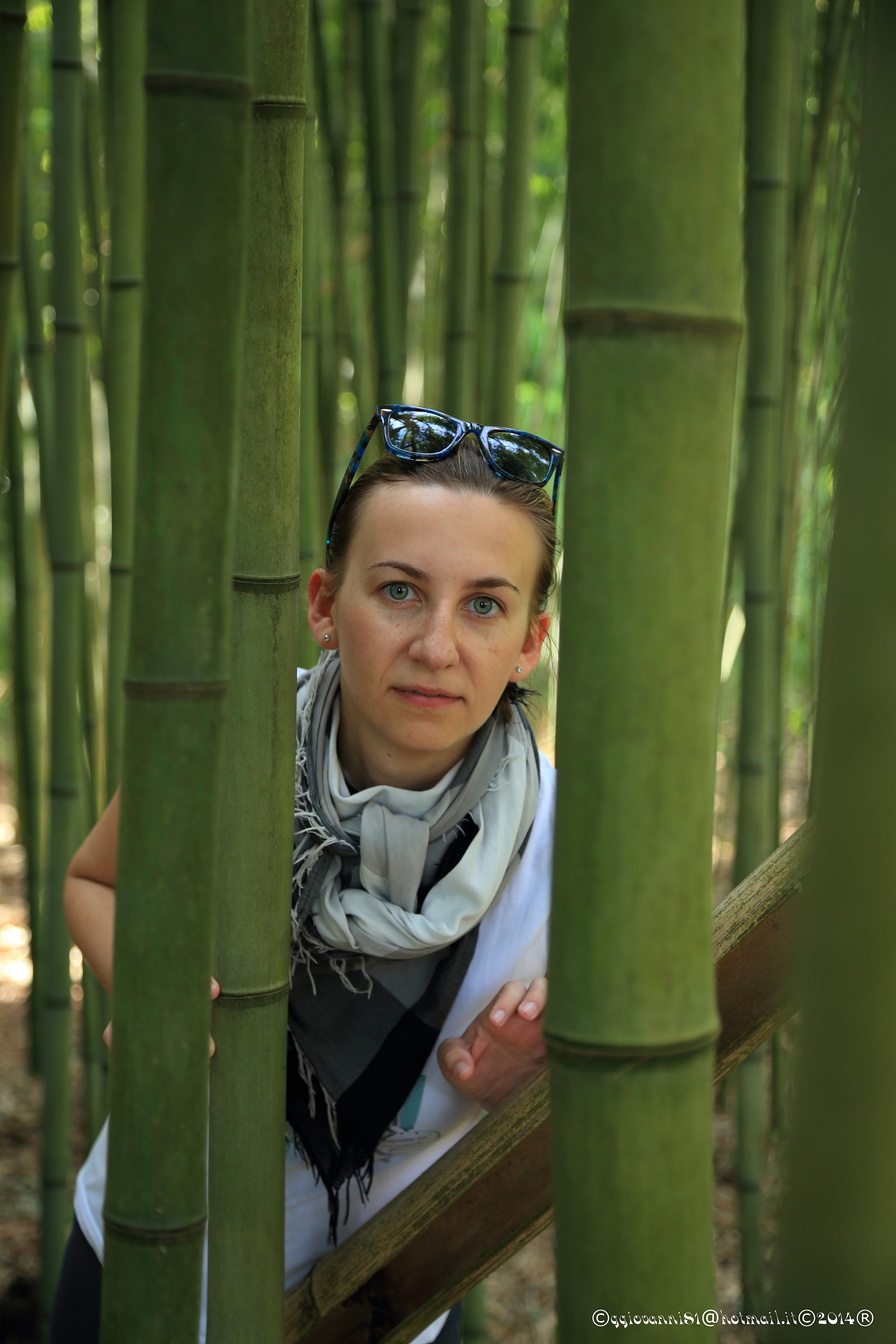 Bamboo Forest 03...