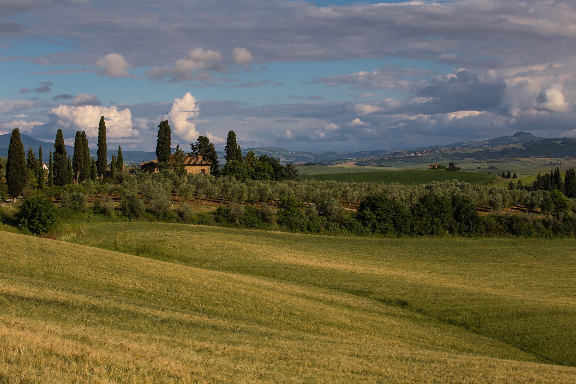 A farmhouse in Val d'Orcia...