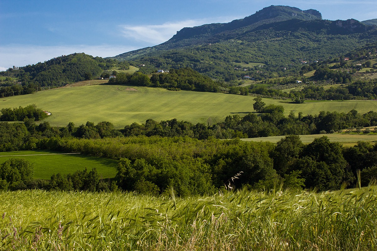 05/30/2015 - Campaign Abruzzo...