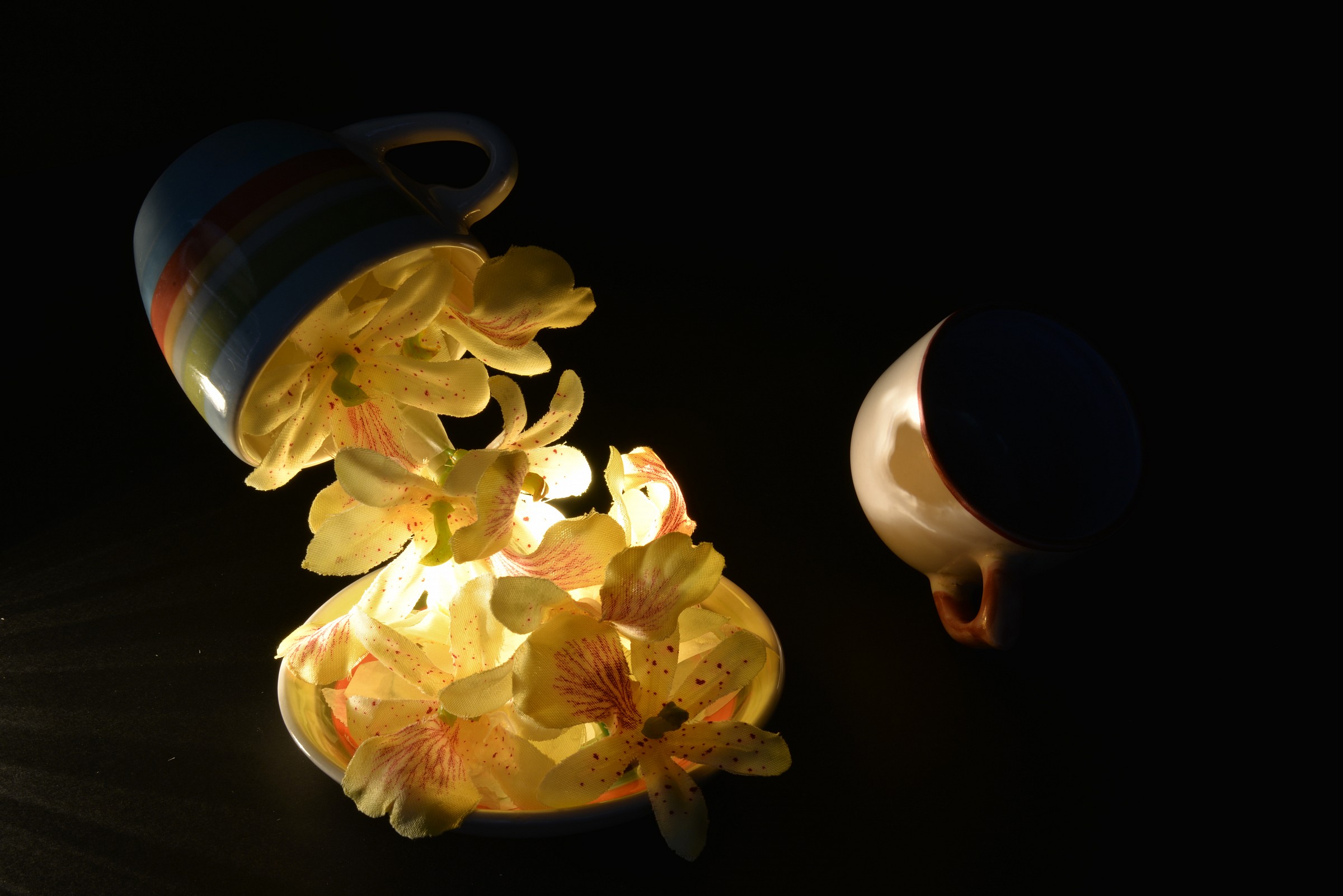 tazze e fiori...