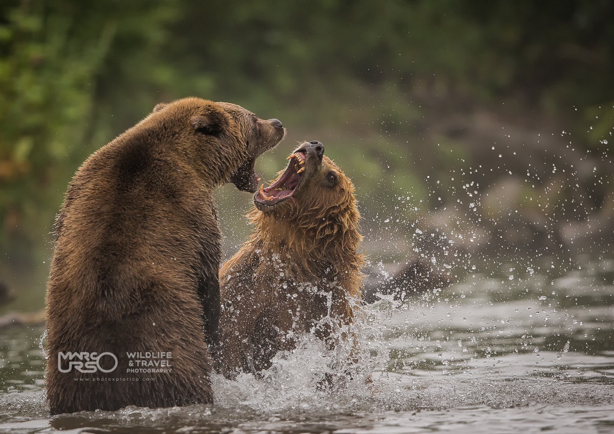 Kamchatka - Kuril Lake...