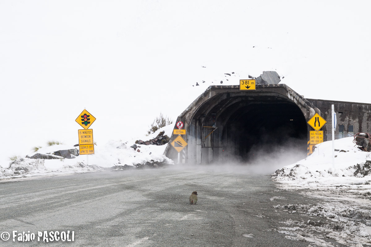 on the road to Mildfordsound...