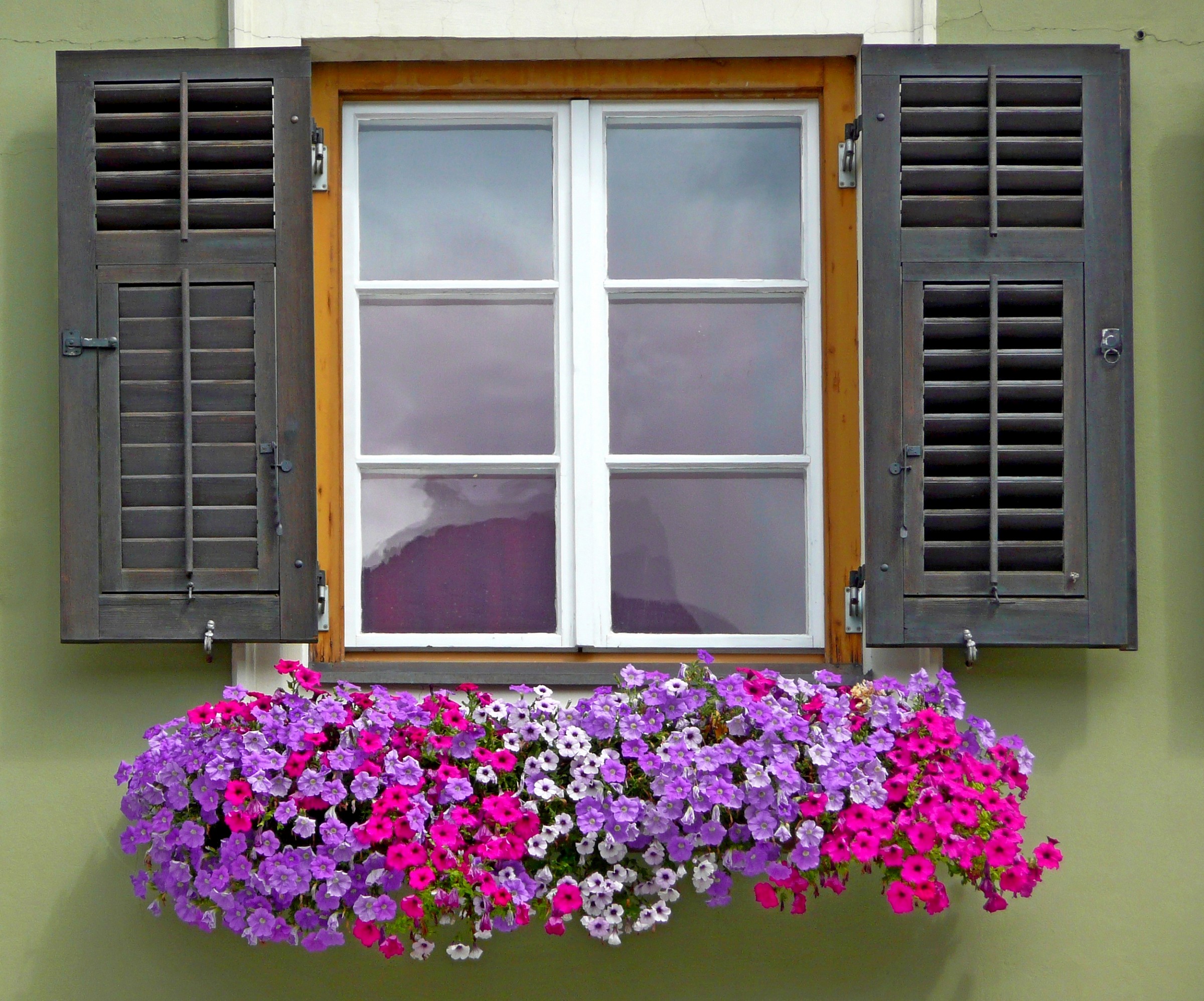 flowered window...