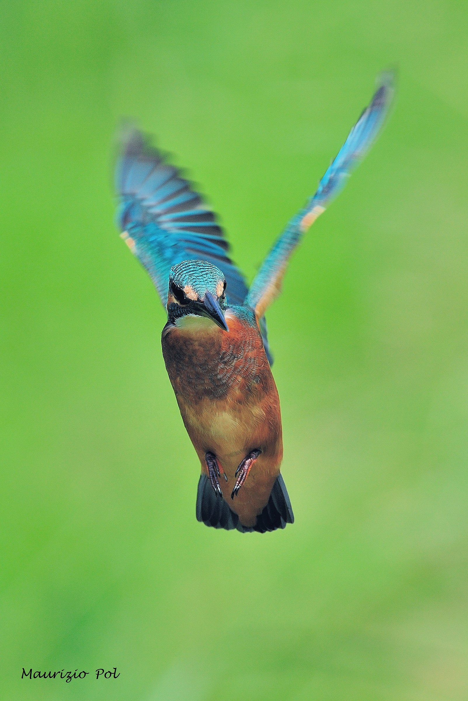 in flight...