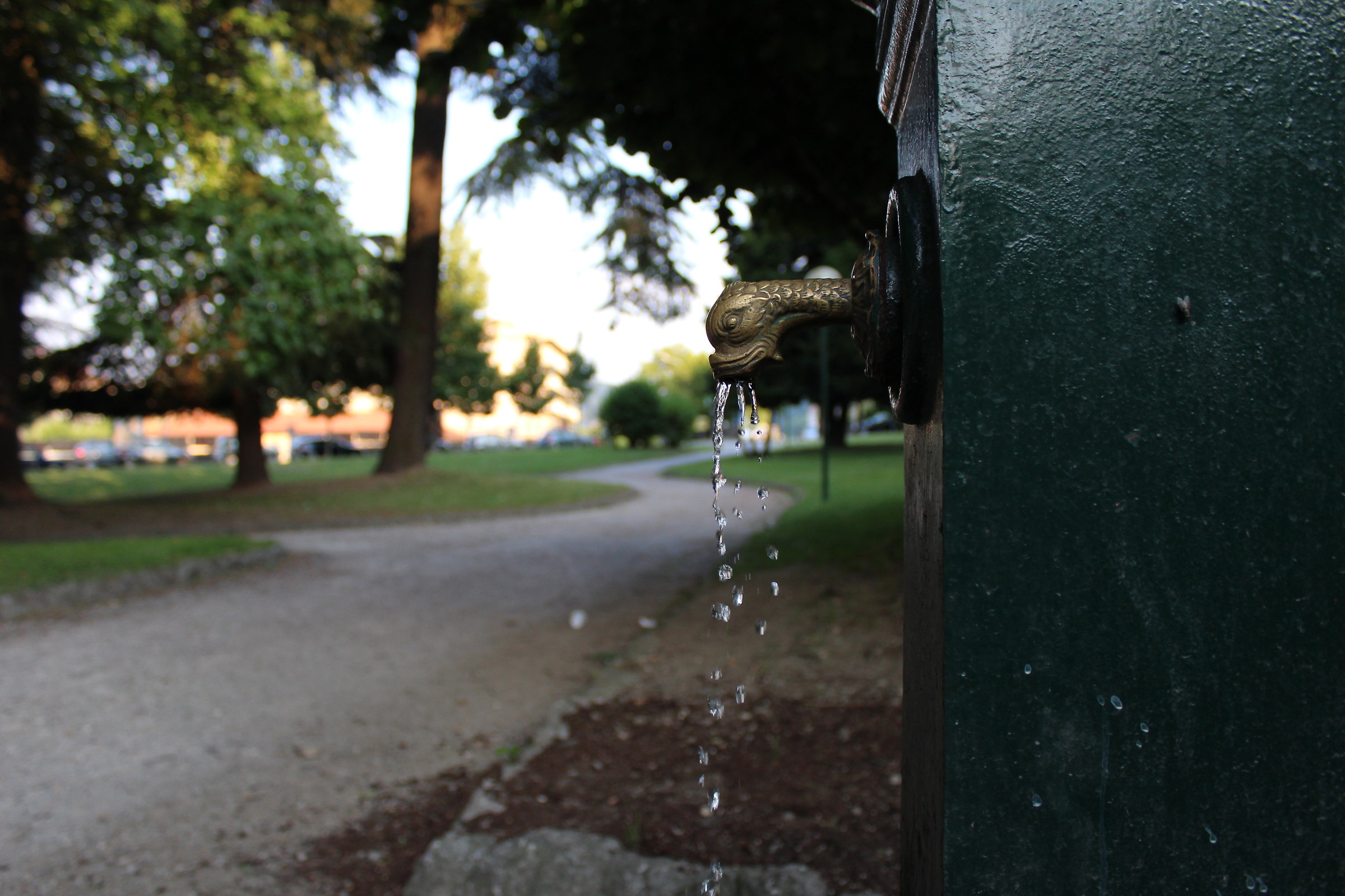 The catch running water...