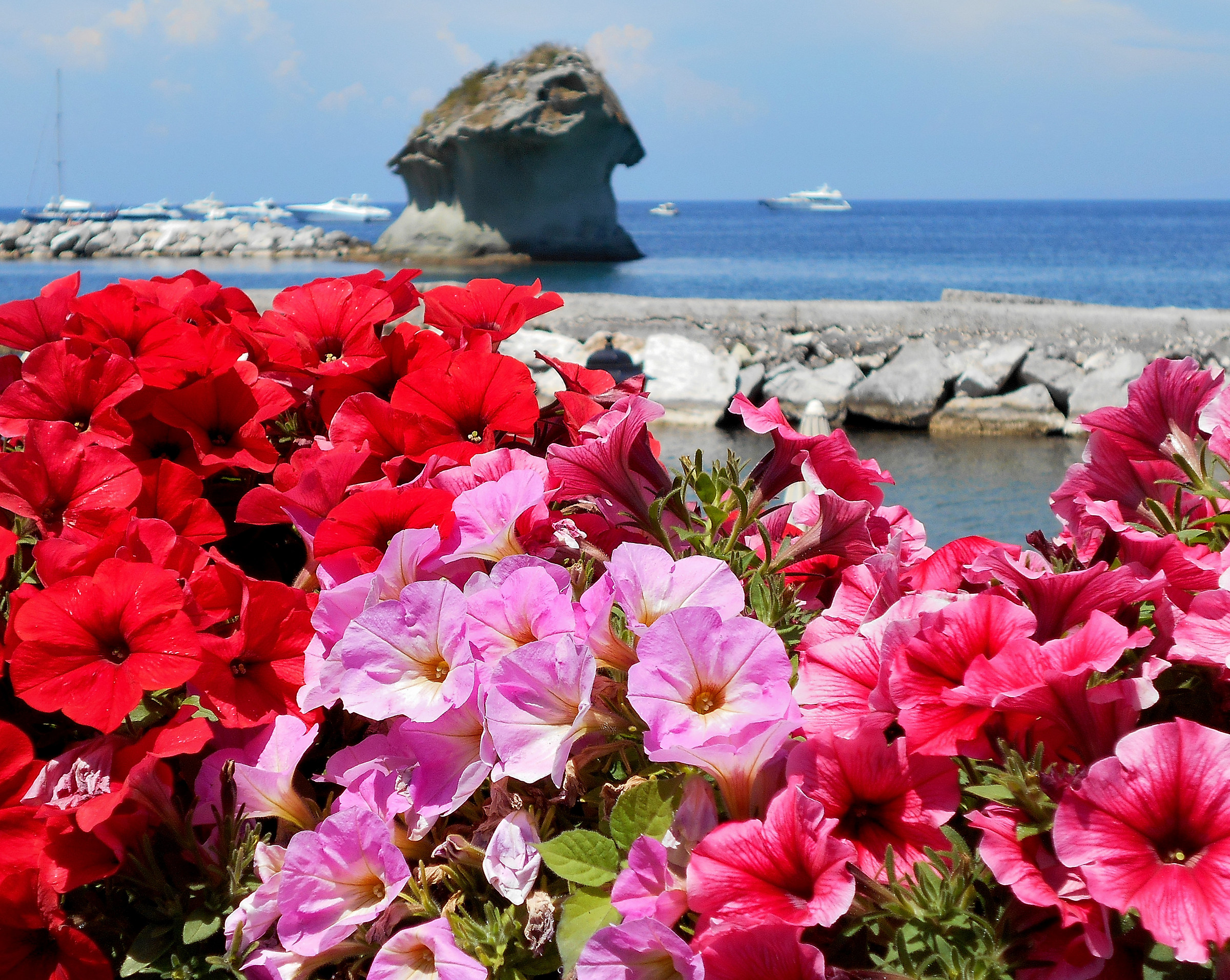 Ischia, Lacco Ameno...