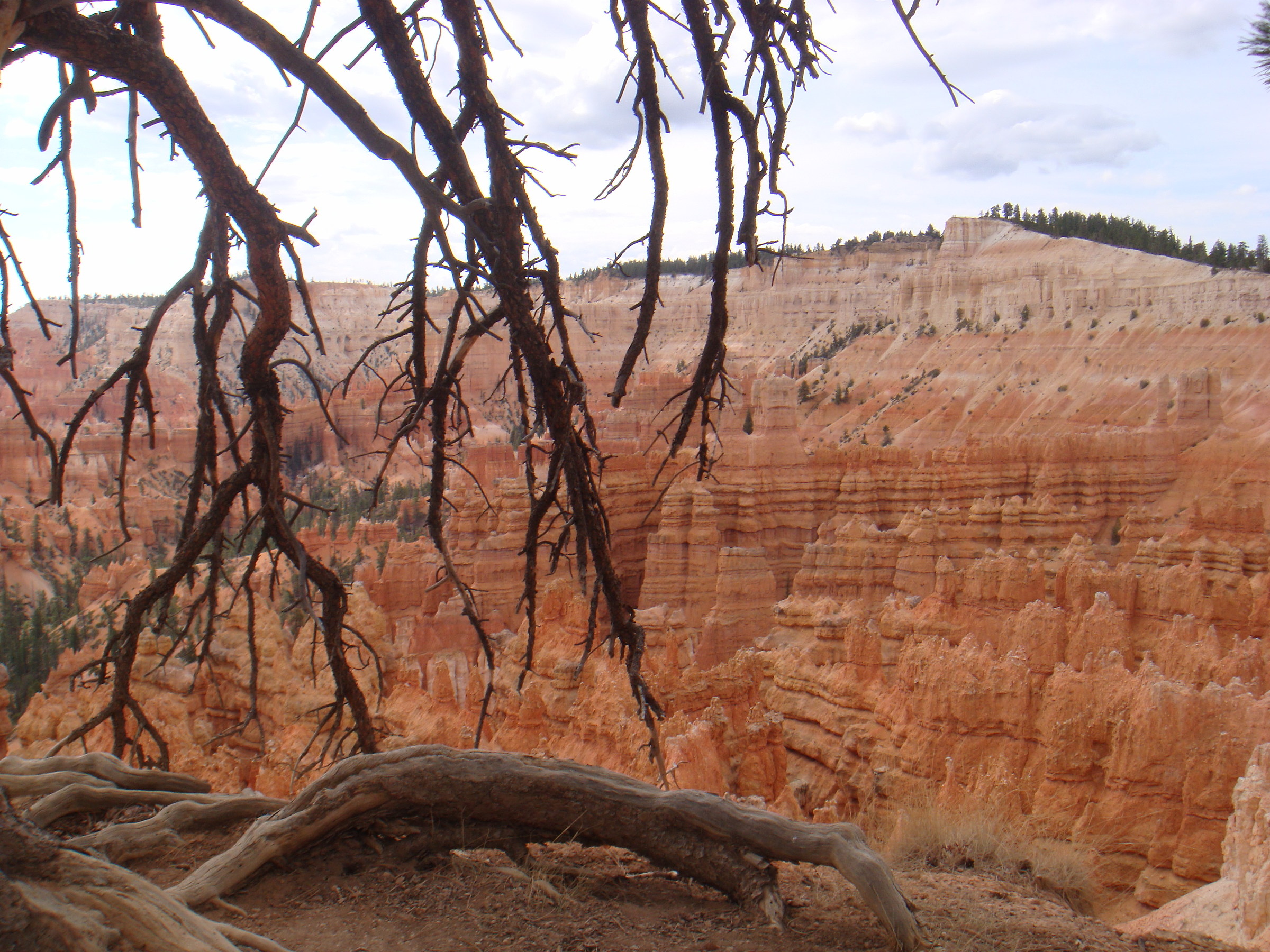 Bryce Canyon 1...