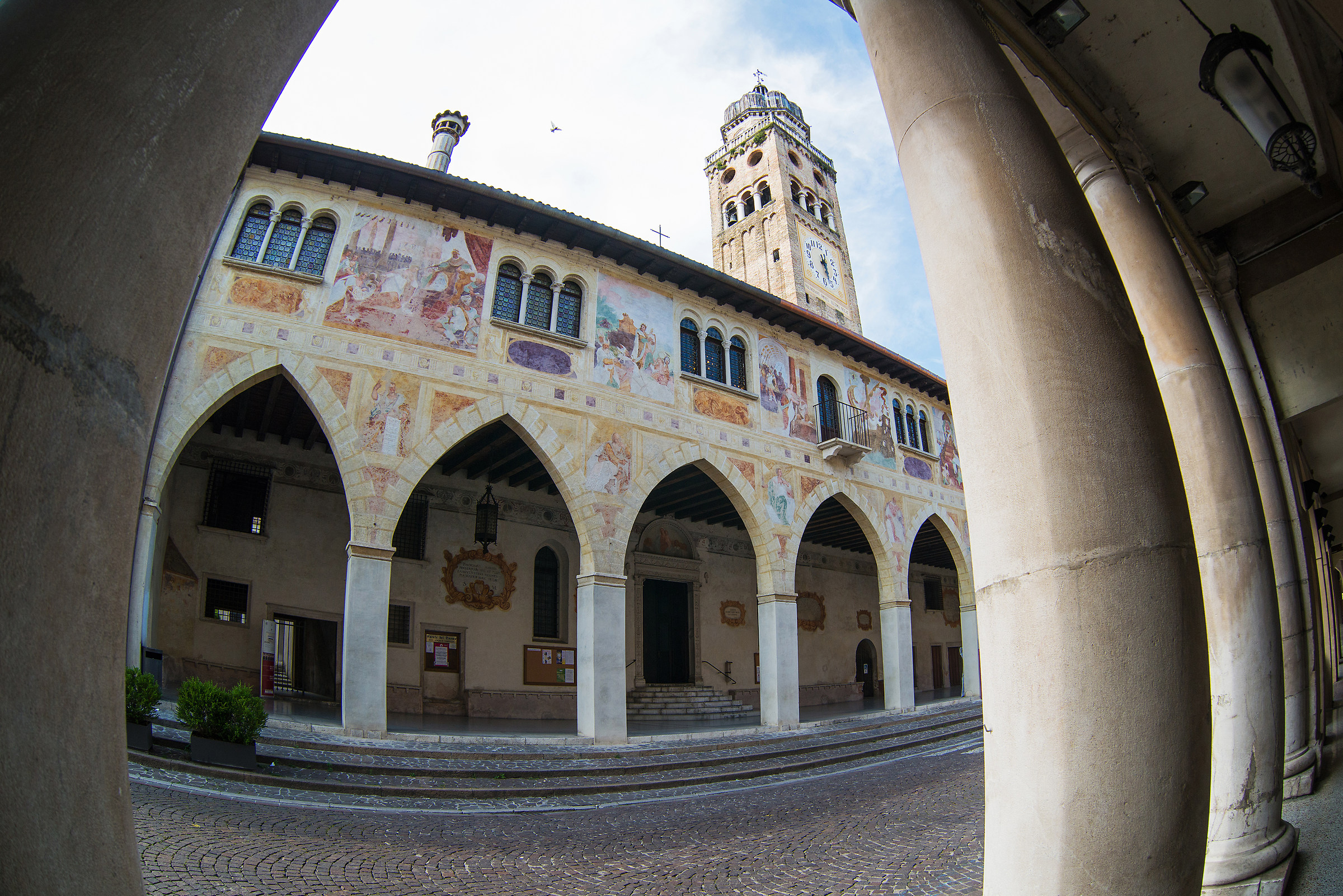 Conegliano (Treviso)...