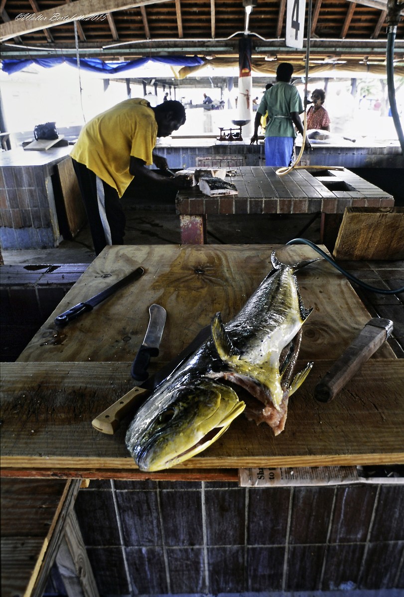 fish market-Barbados Oistins...