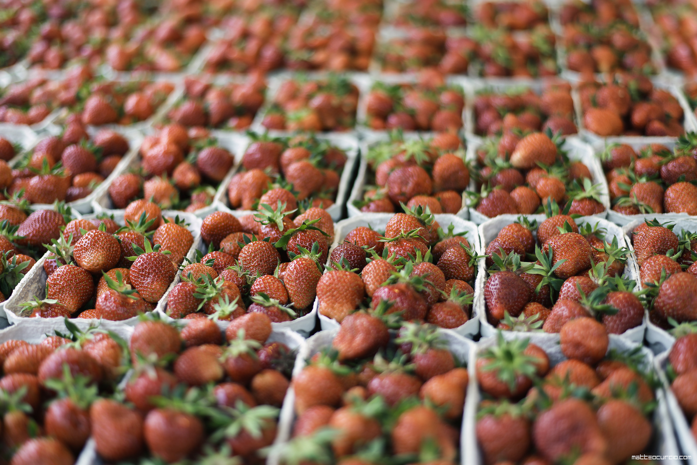 Market Strawberries...