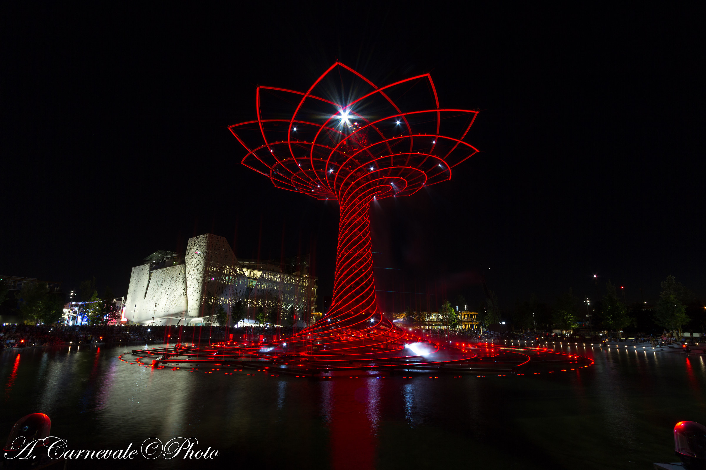 Tree of Life expo...