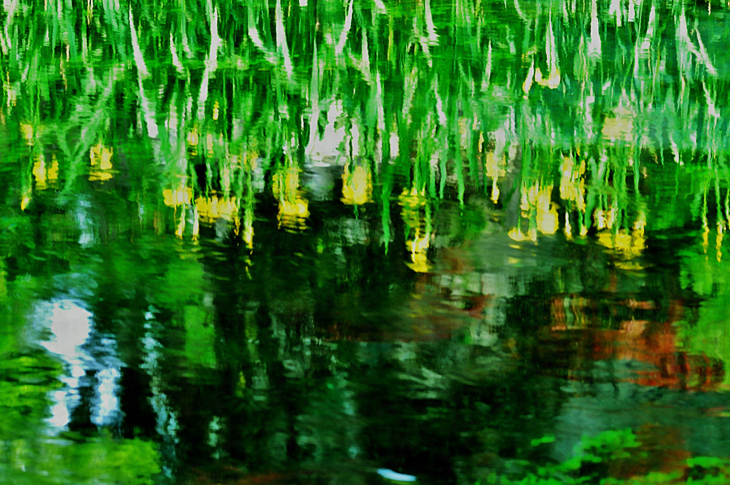 riflessi nell acqua...