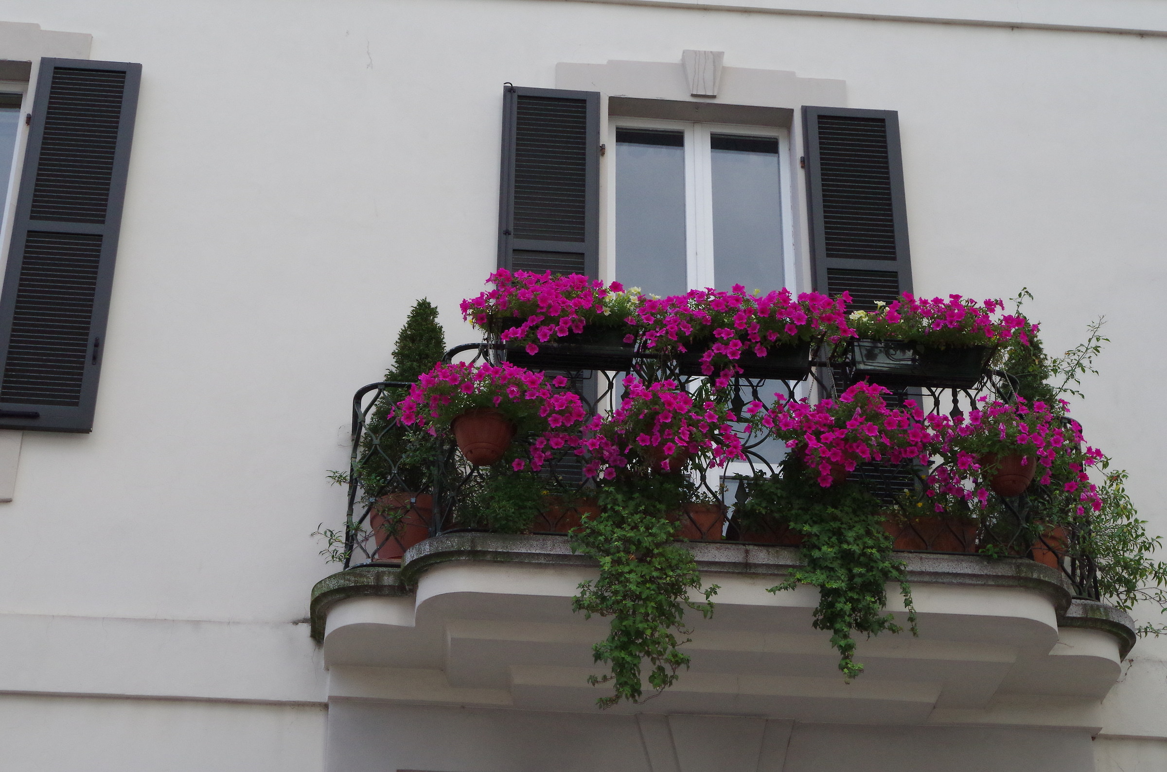 Saronno (Prov. Varese): un delizioso balcone floreale....