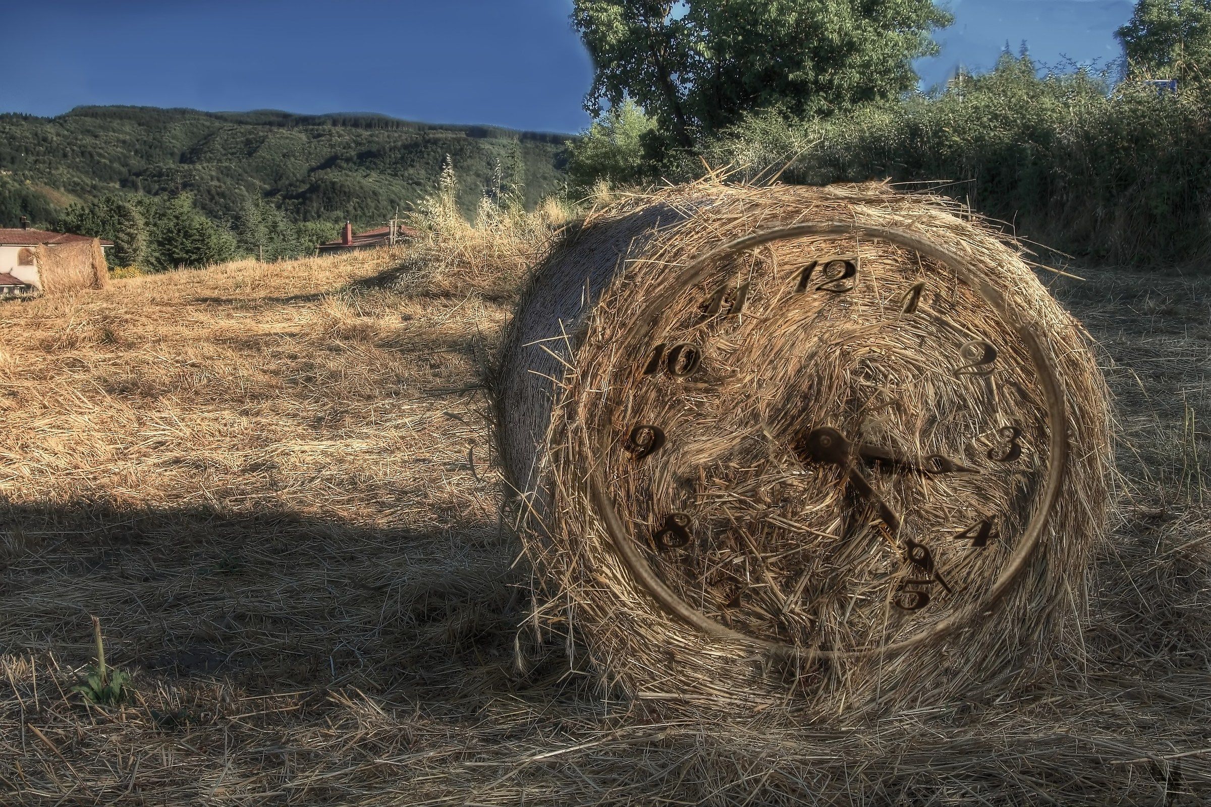 and 'the time of harvest - HDR...