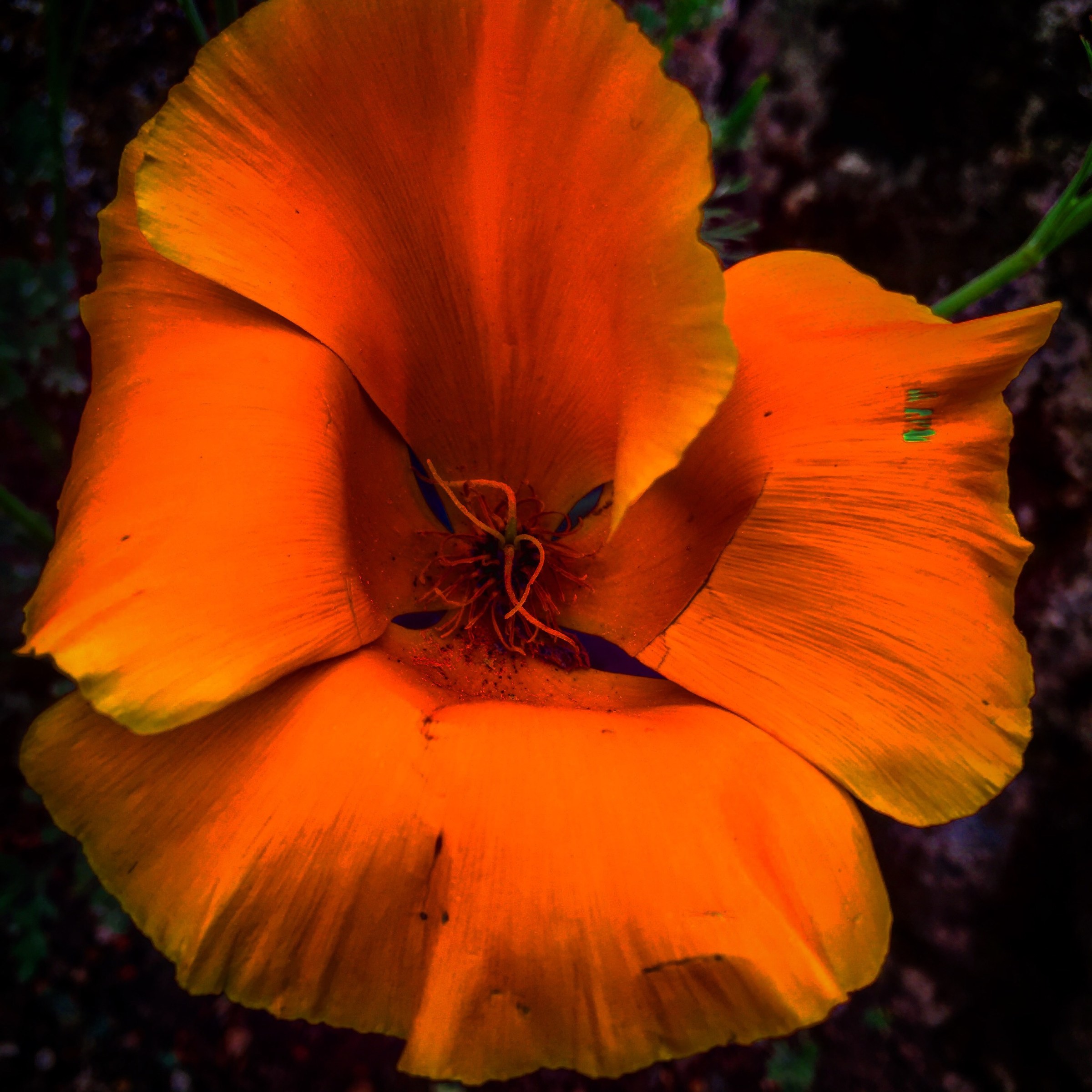 Untitled Photo...