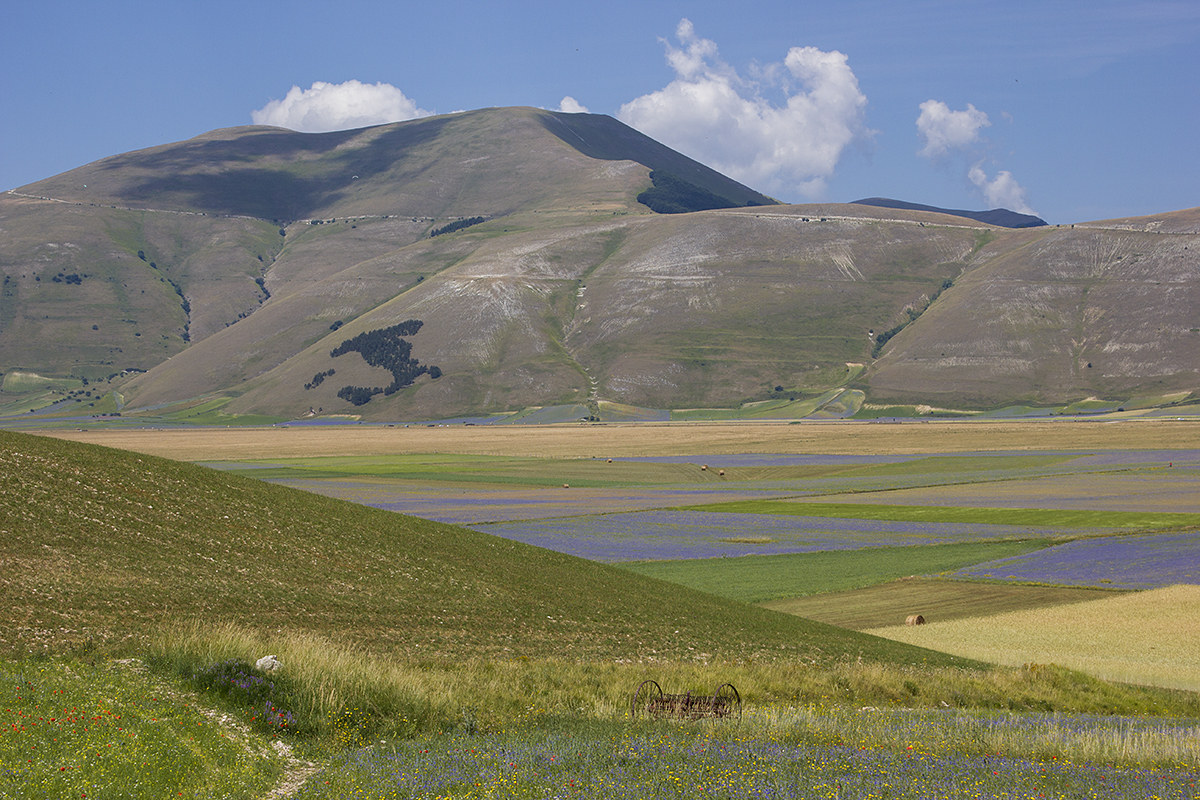 Castelluccio di Norcia (Umbria)...