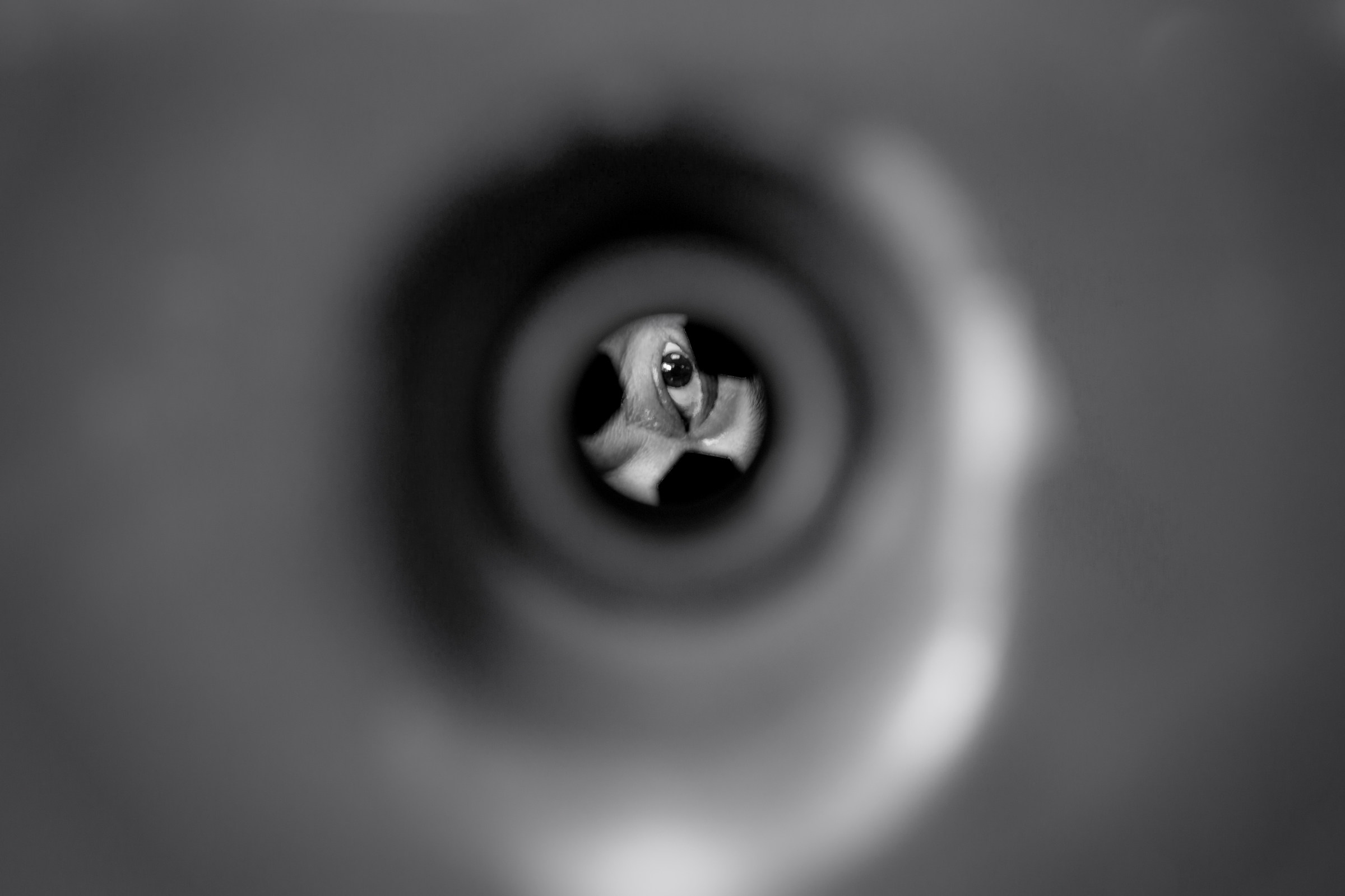 In the vortex eye...