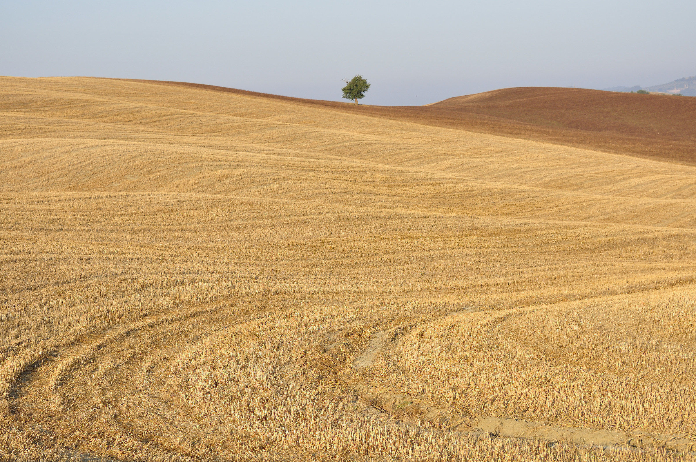 July in Val d'Orcia...