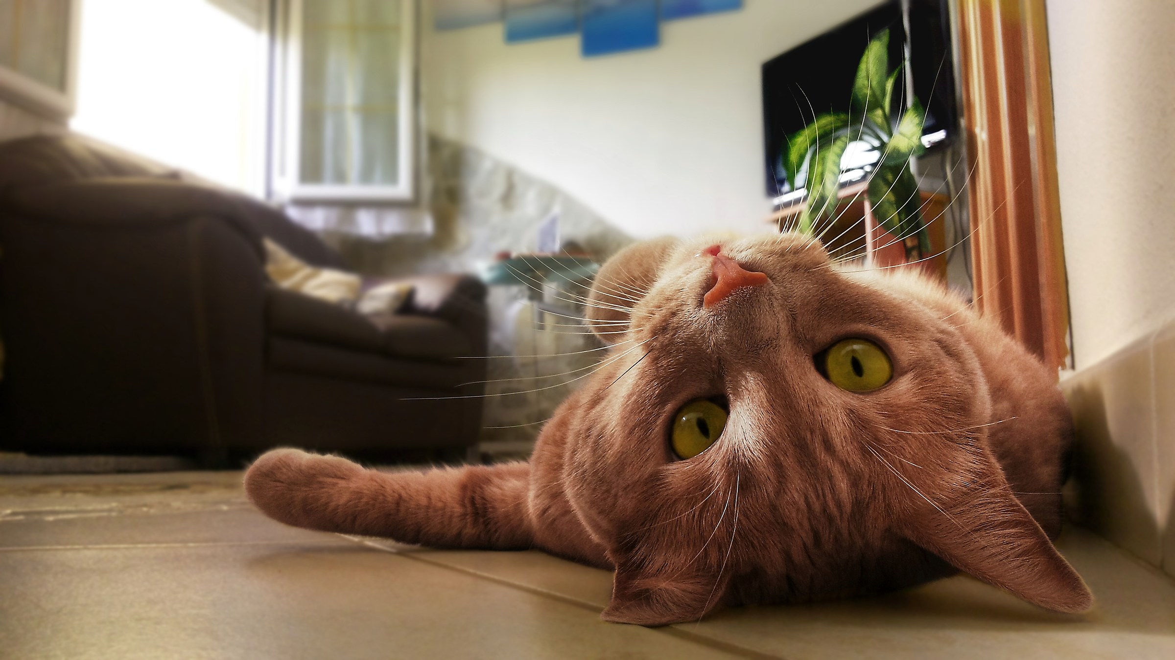 Relaxation...
