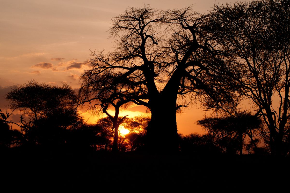 the inevitable African sunset...