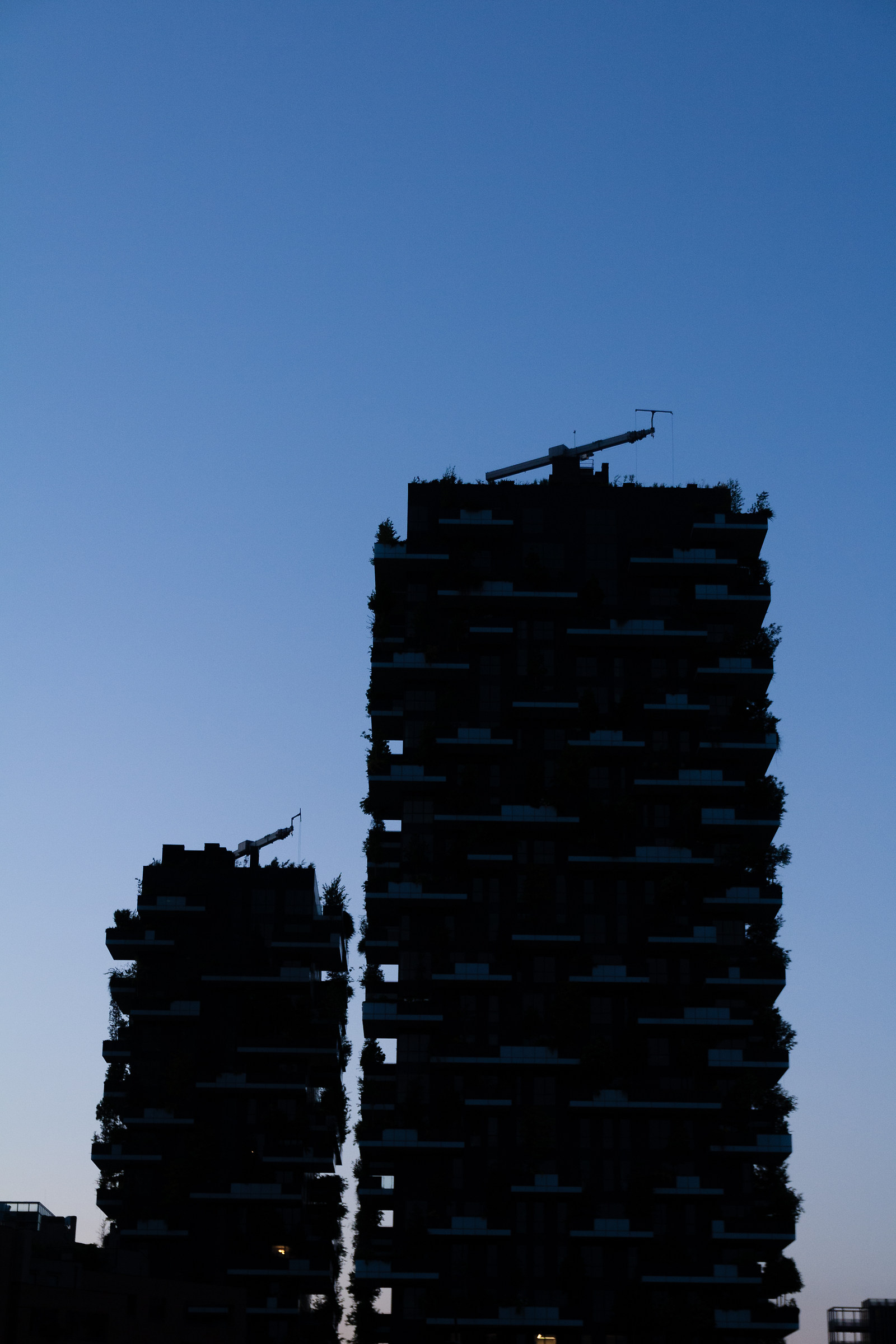 The vertical forest...