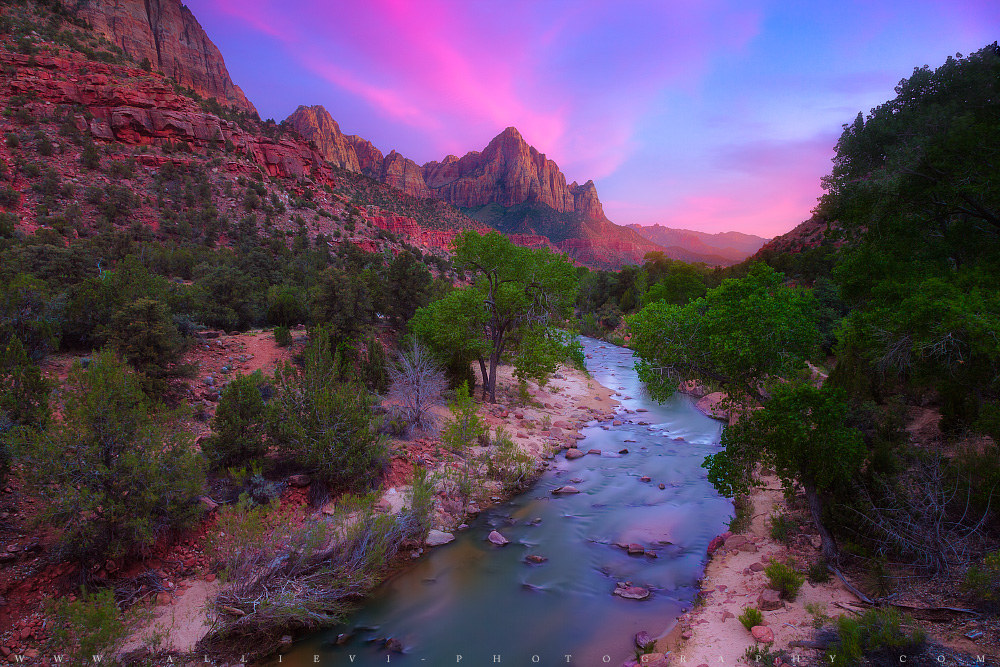The Watchman...