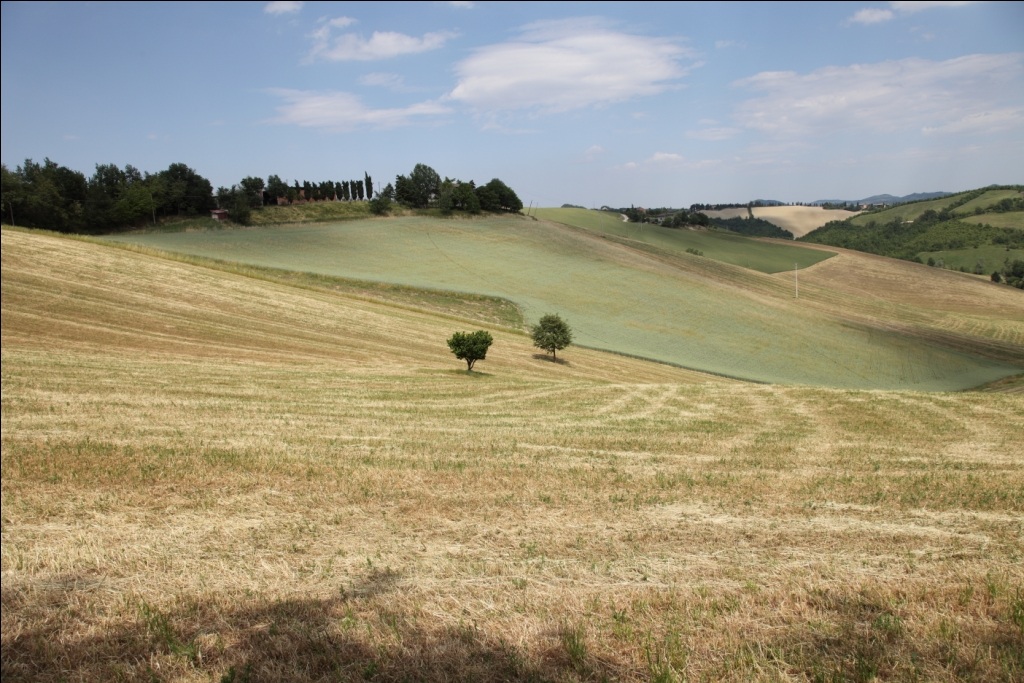 Landscape...