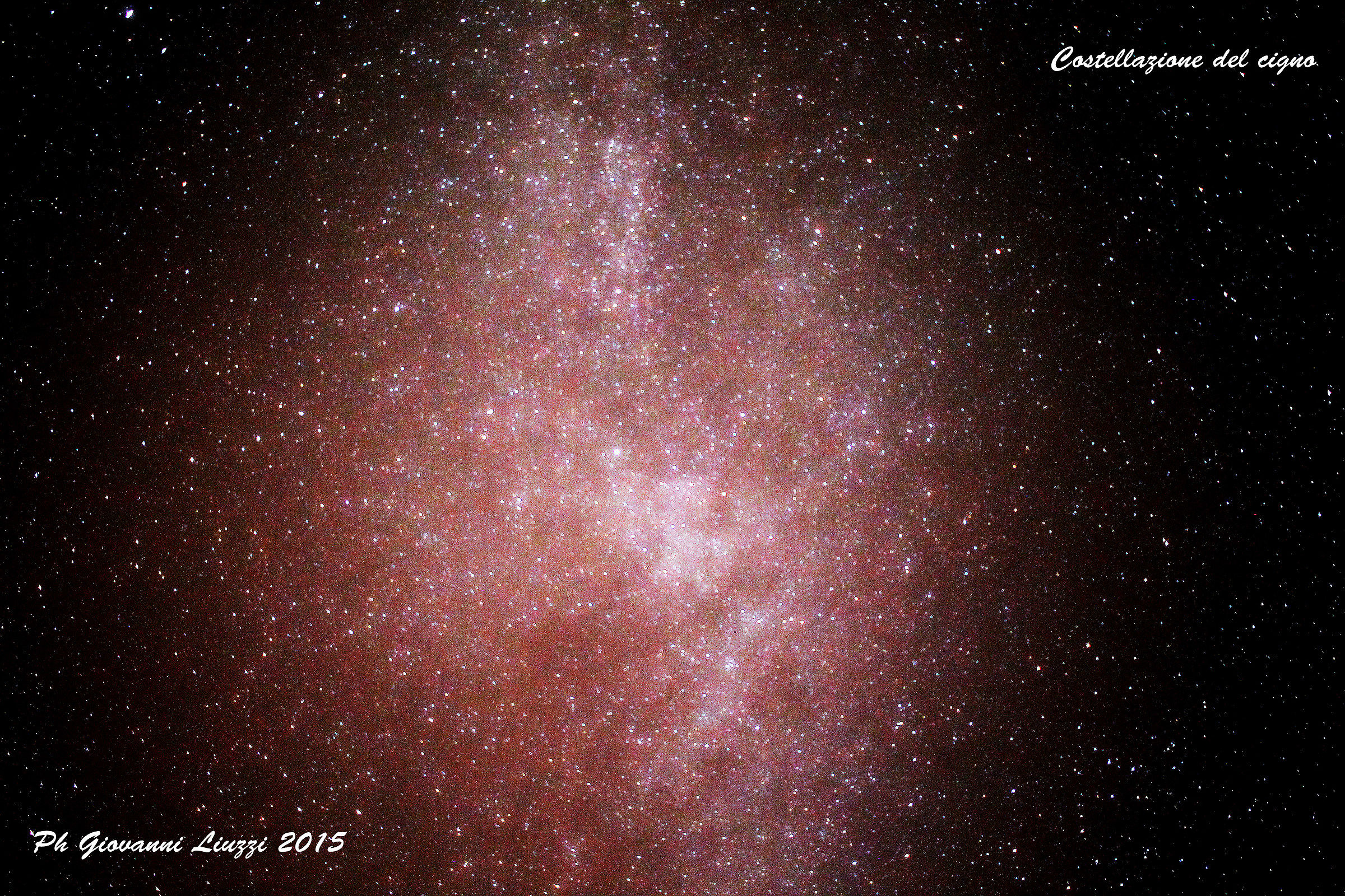 Constellation Cygnus...