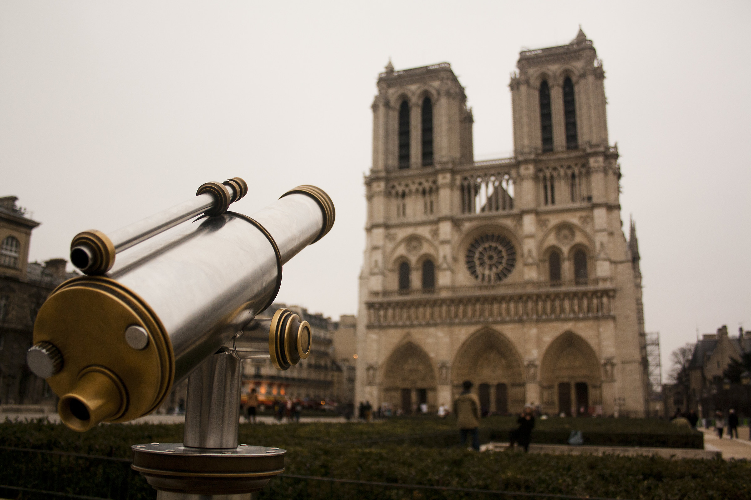Guardando Notre Dame...