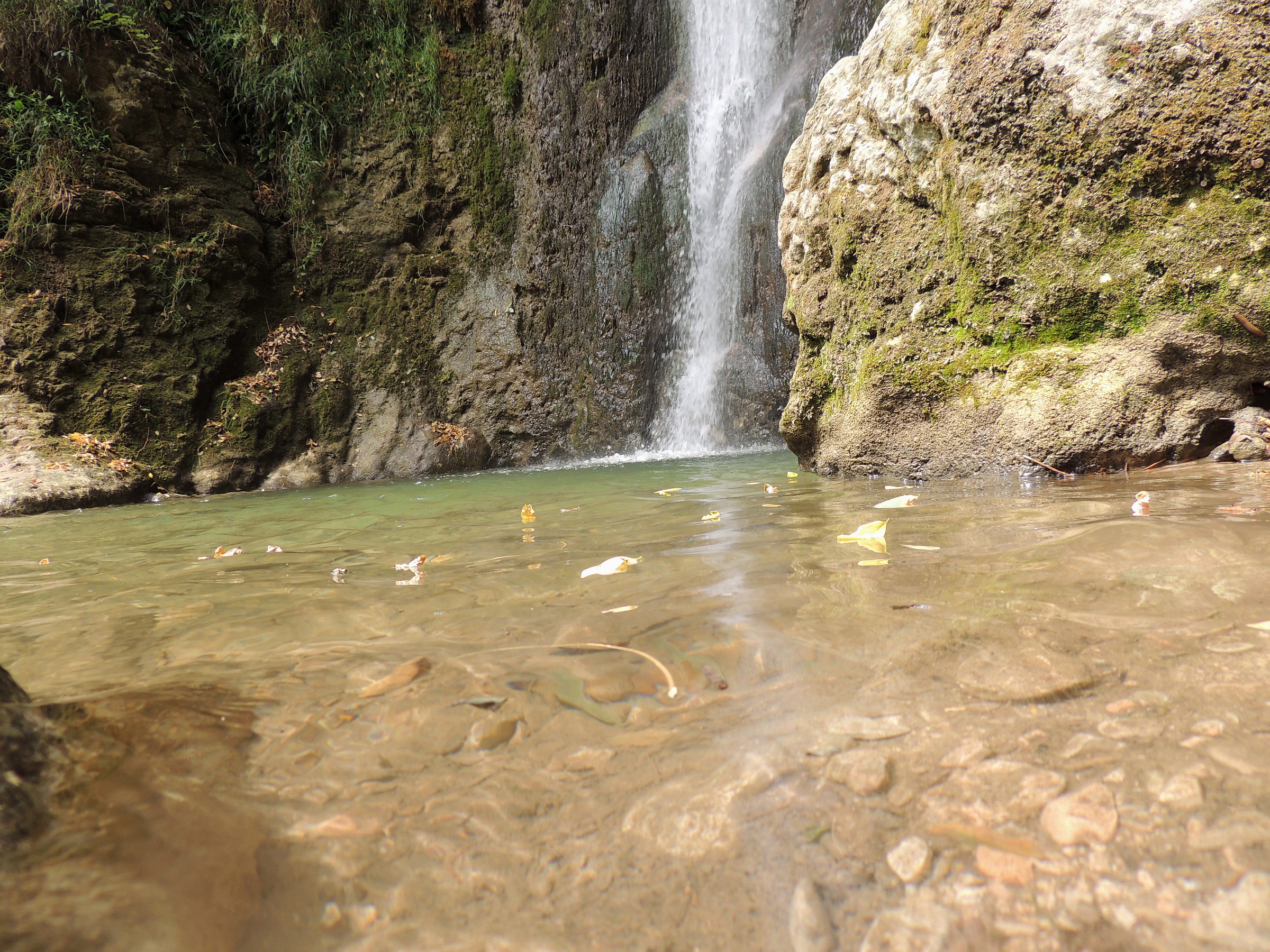 green waterfall...
