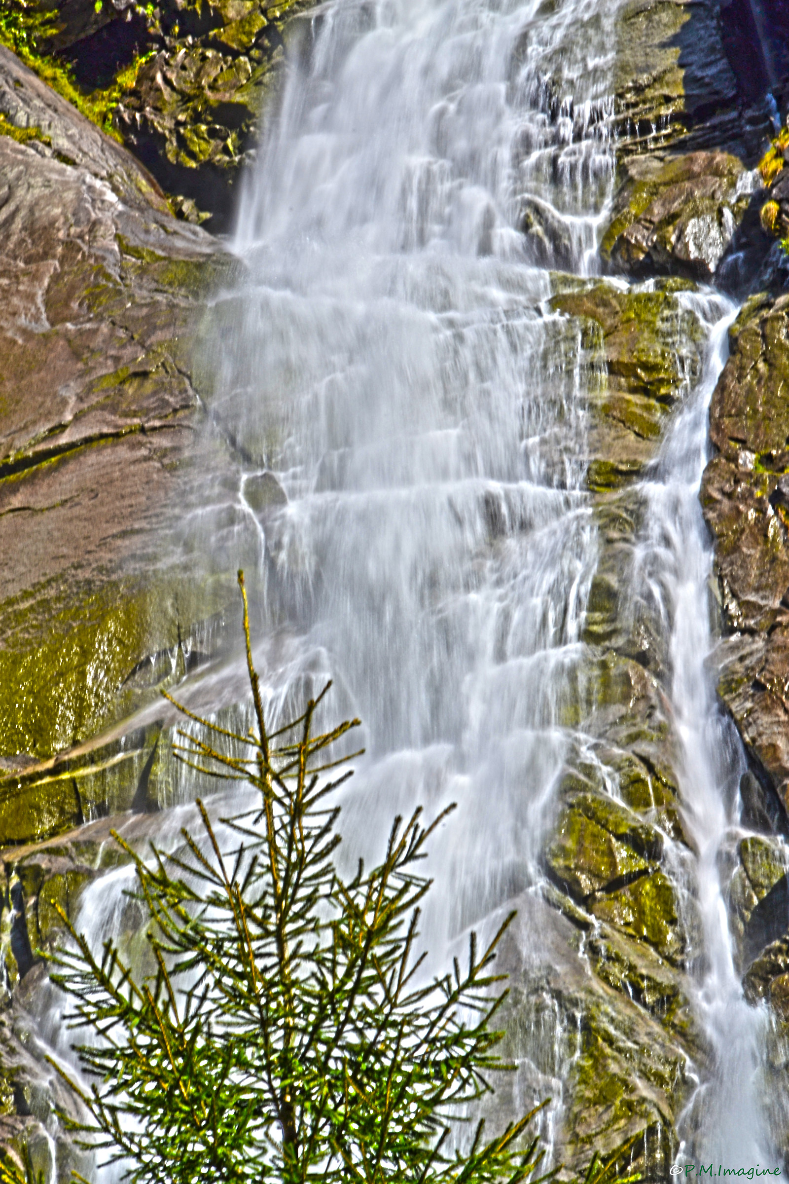 Waterfall Nardis...