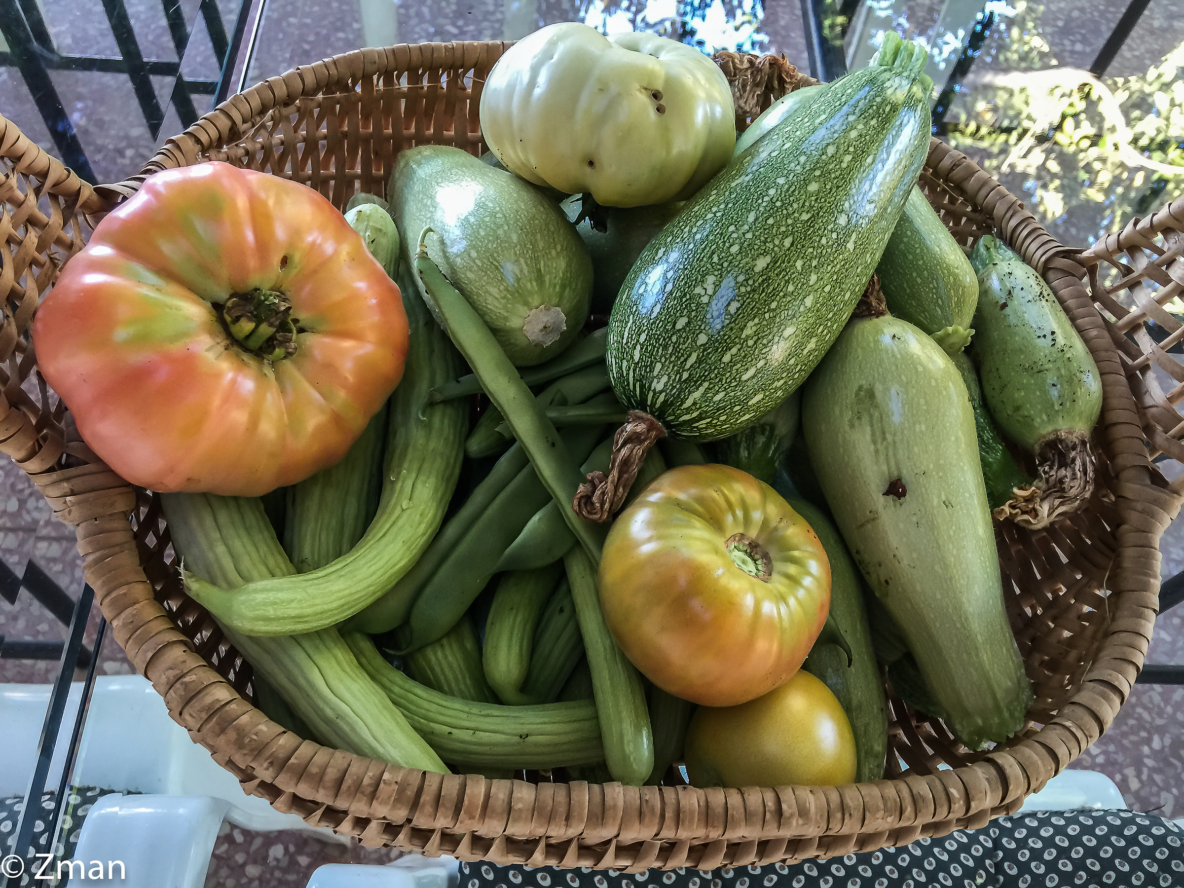 Dal nostro giardino...