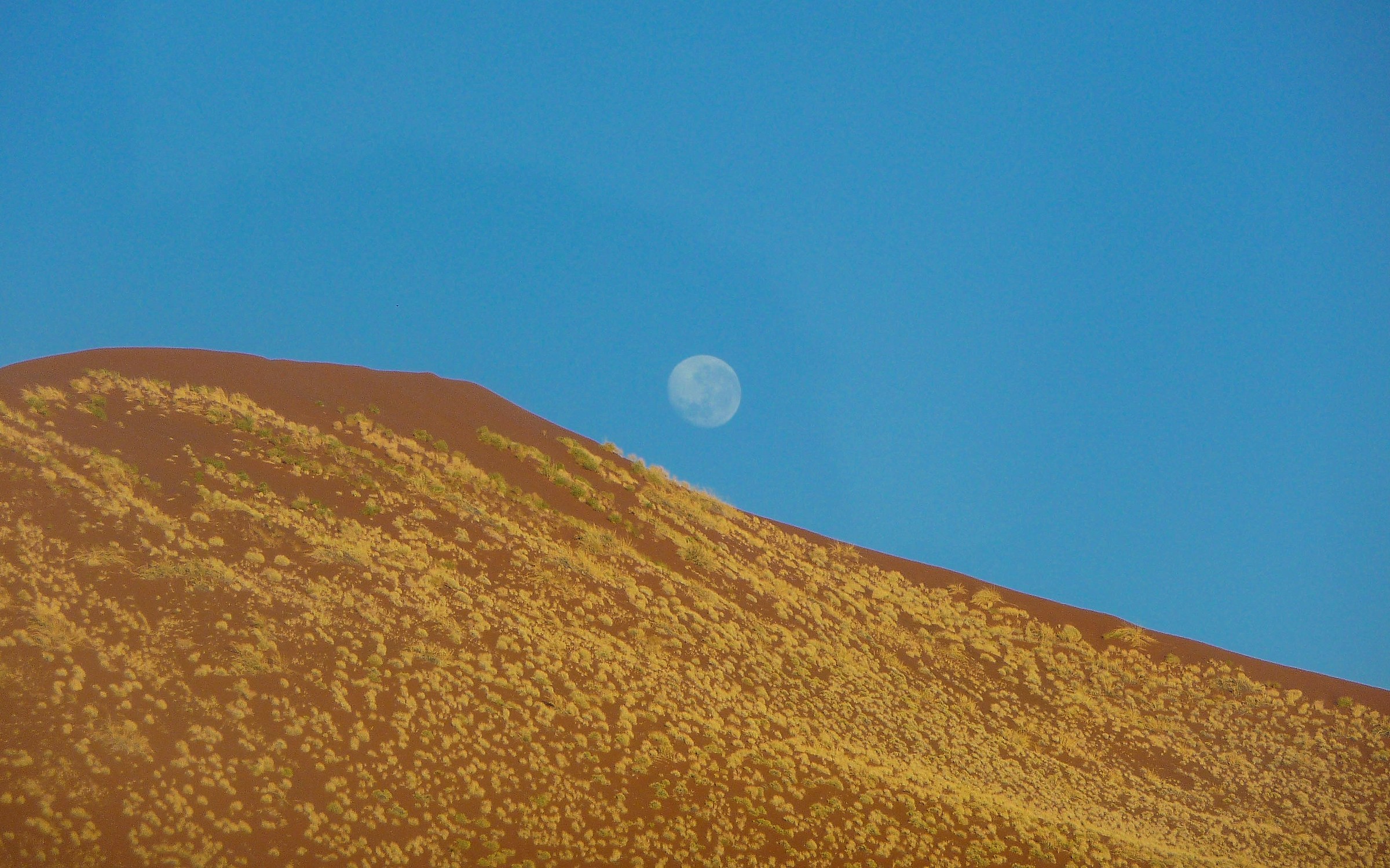 the moon and the dune...