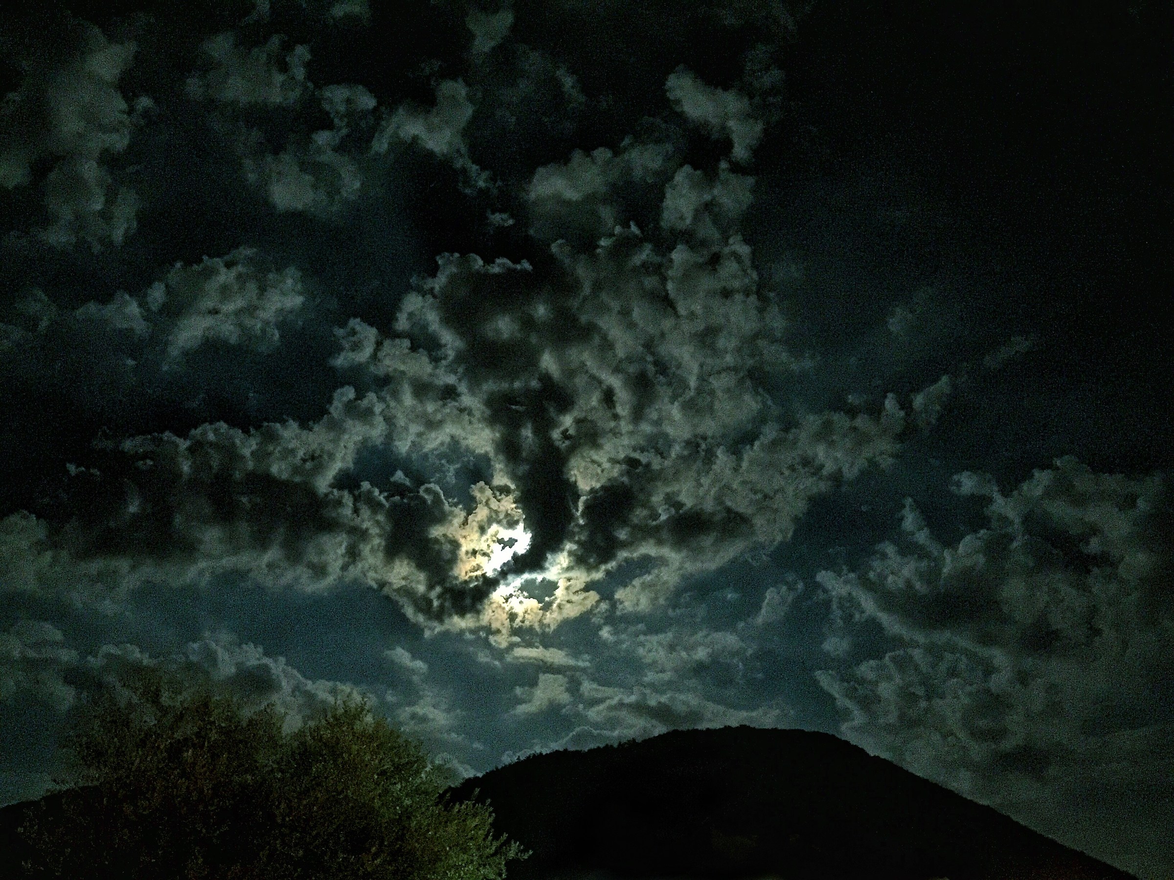 Moonlit night...