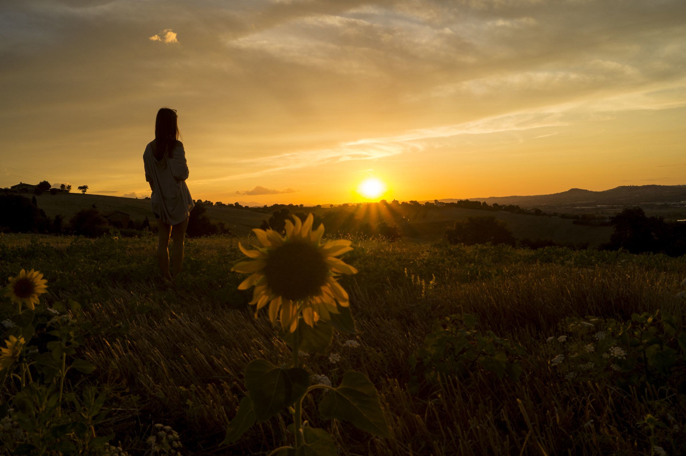 a yellow sunset with a sunflower...