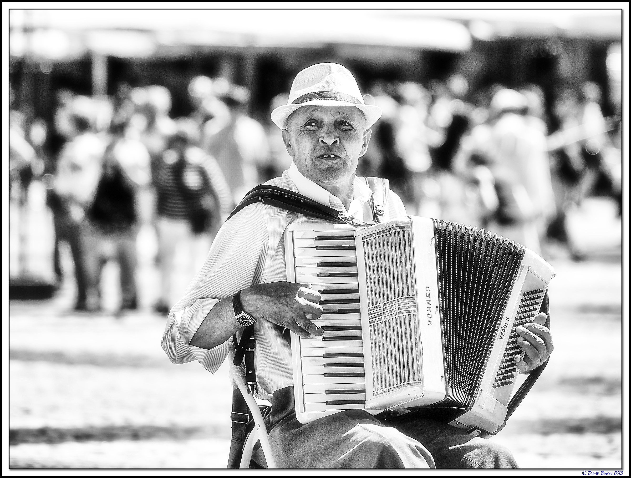 The accordion ......