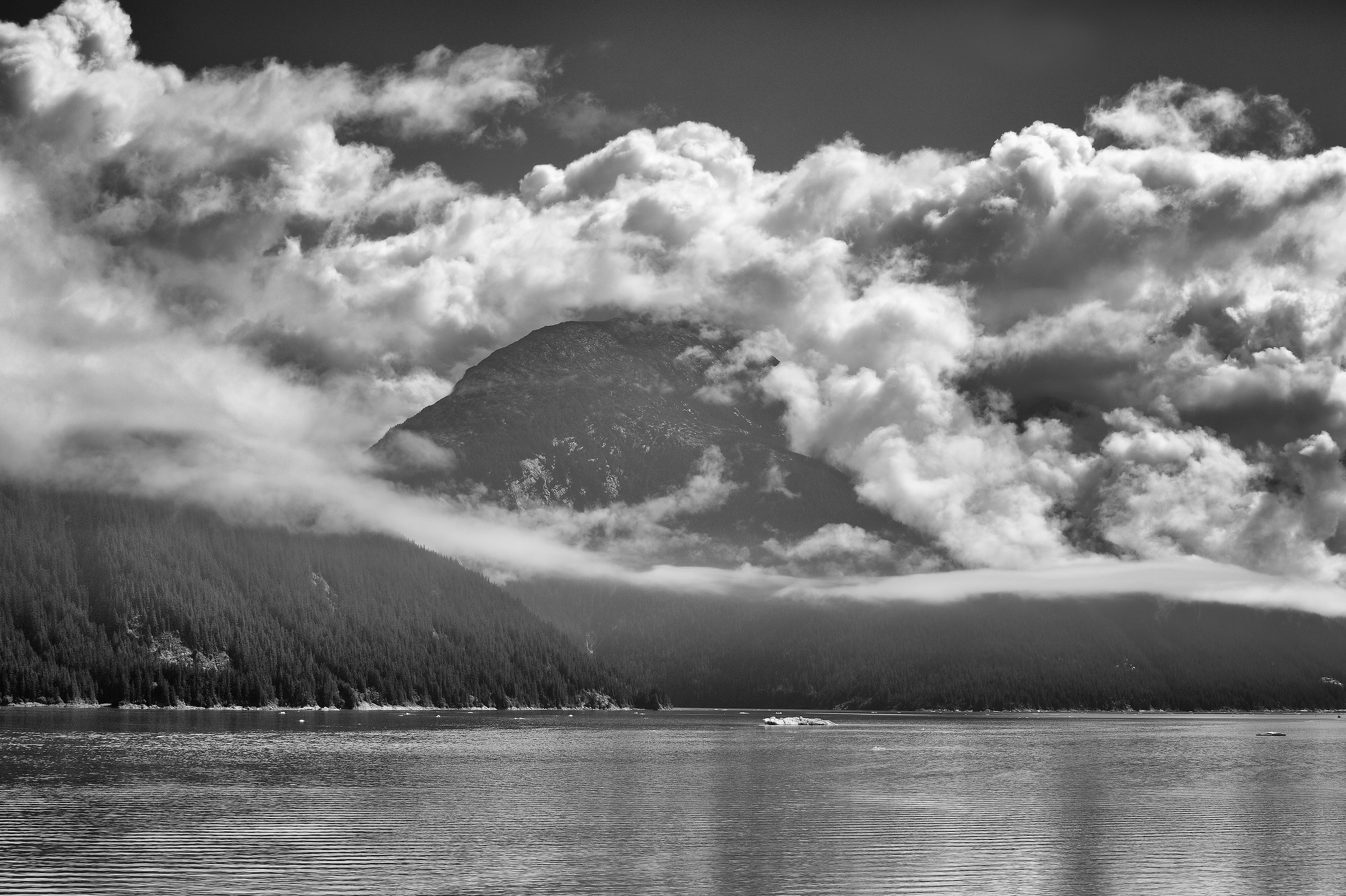Endicott Arm....