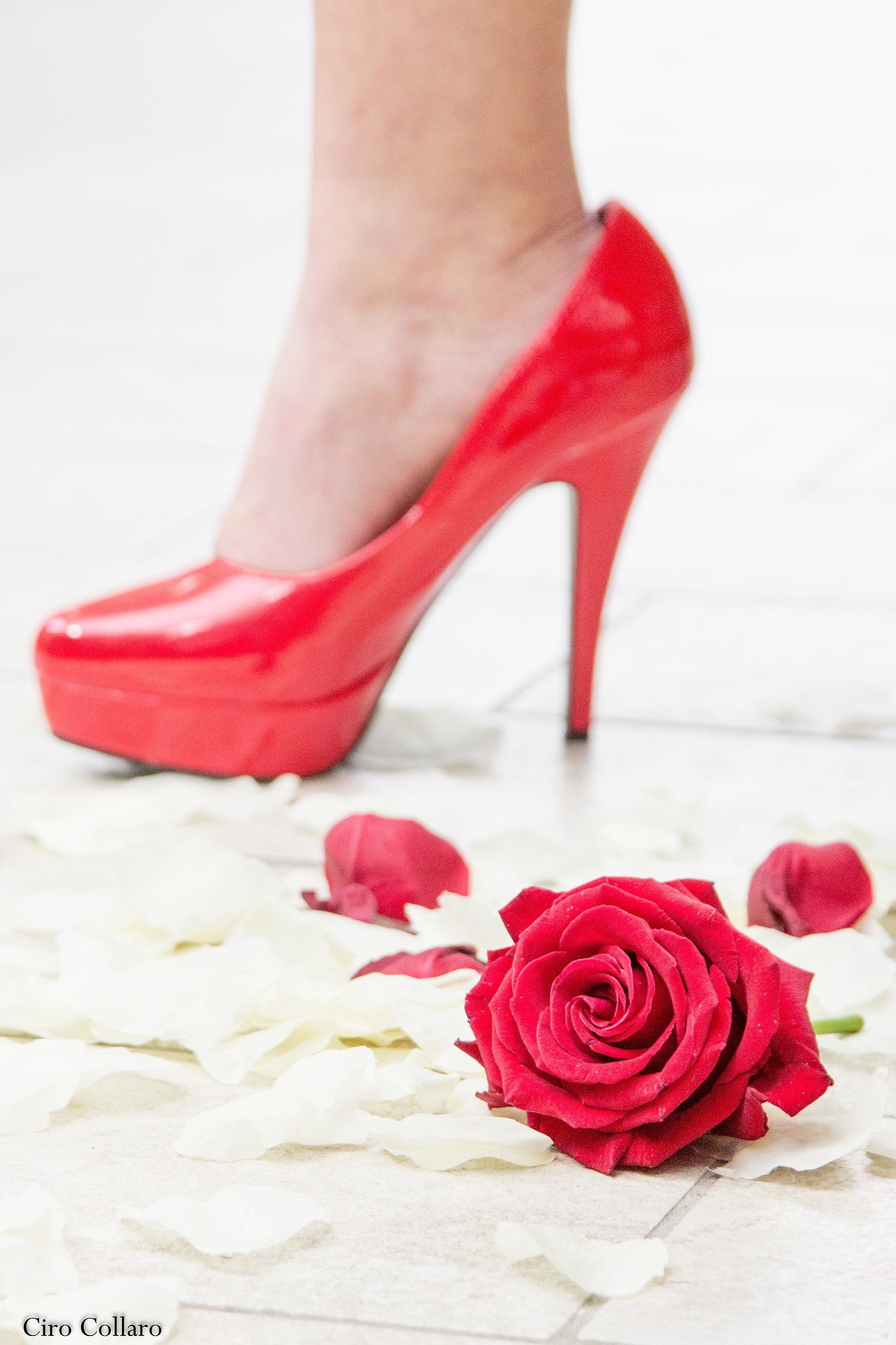 Rose and Heels...