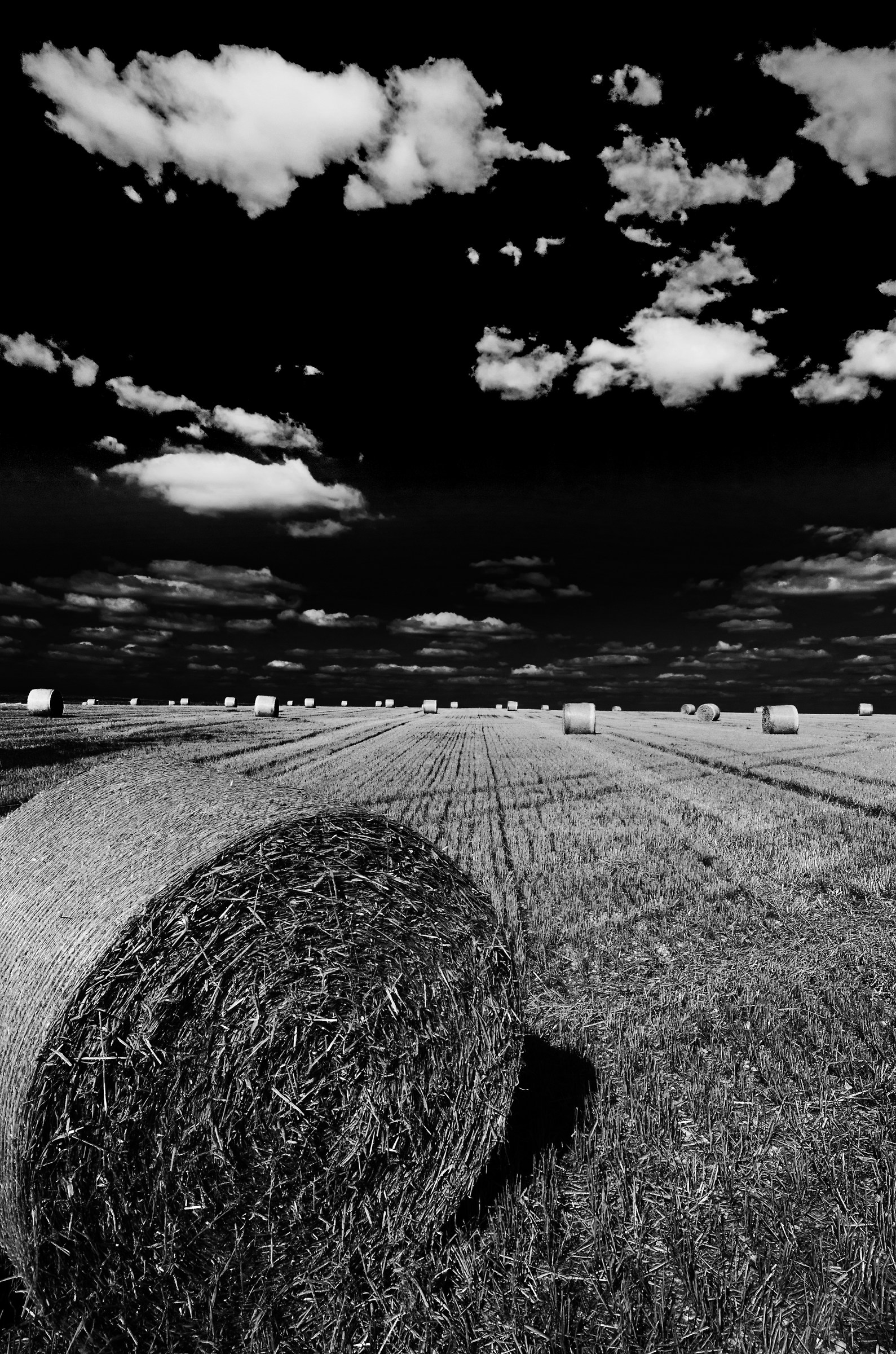 Straw Bales and White Clouds.......