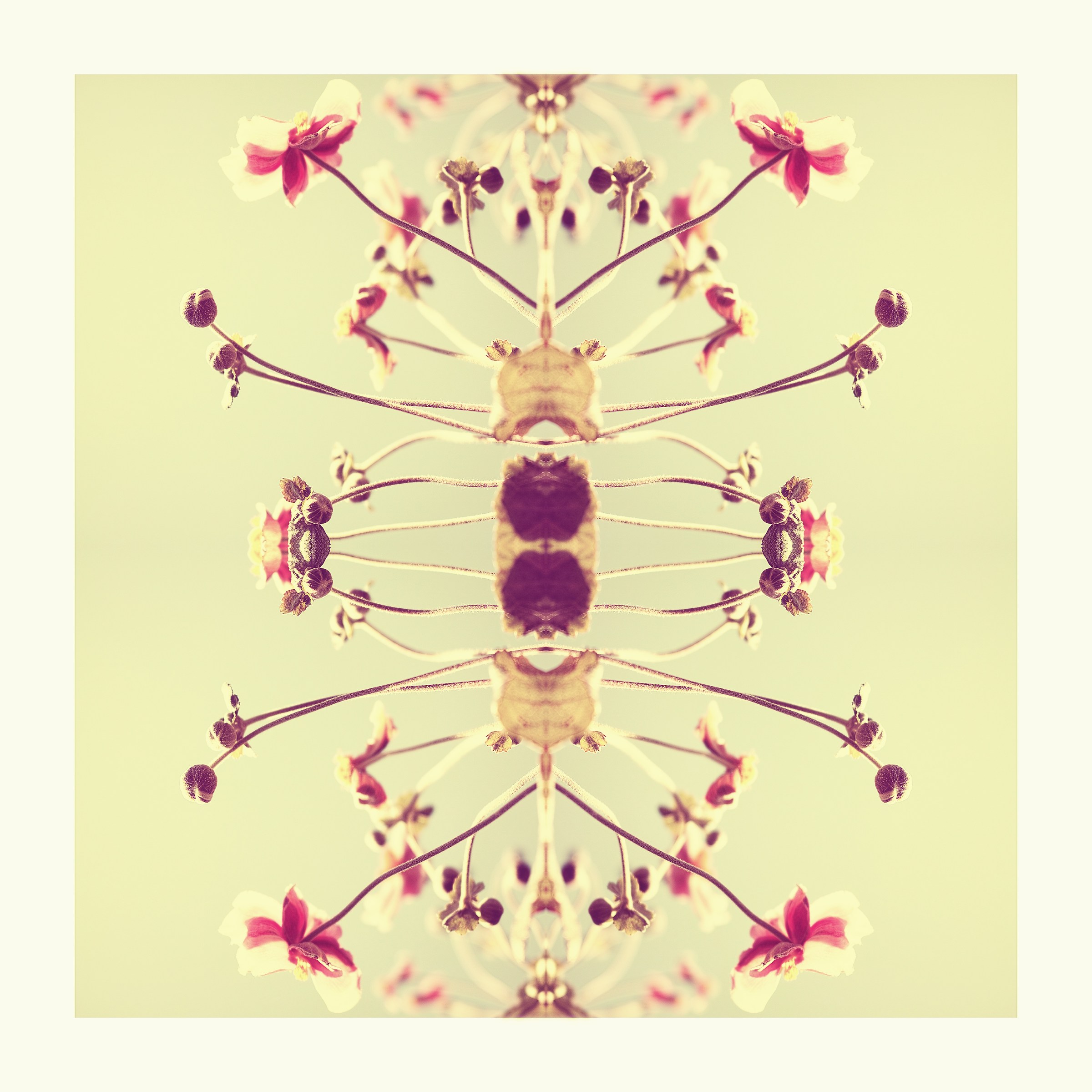 Metamorphosis...
